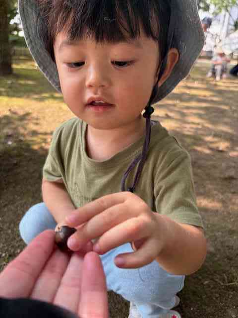 いいの見つけたよ