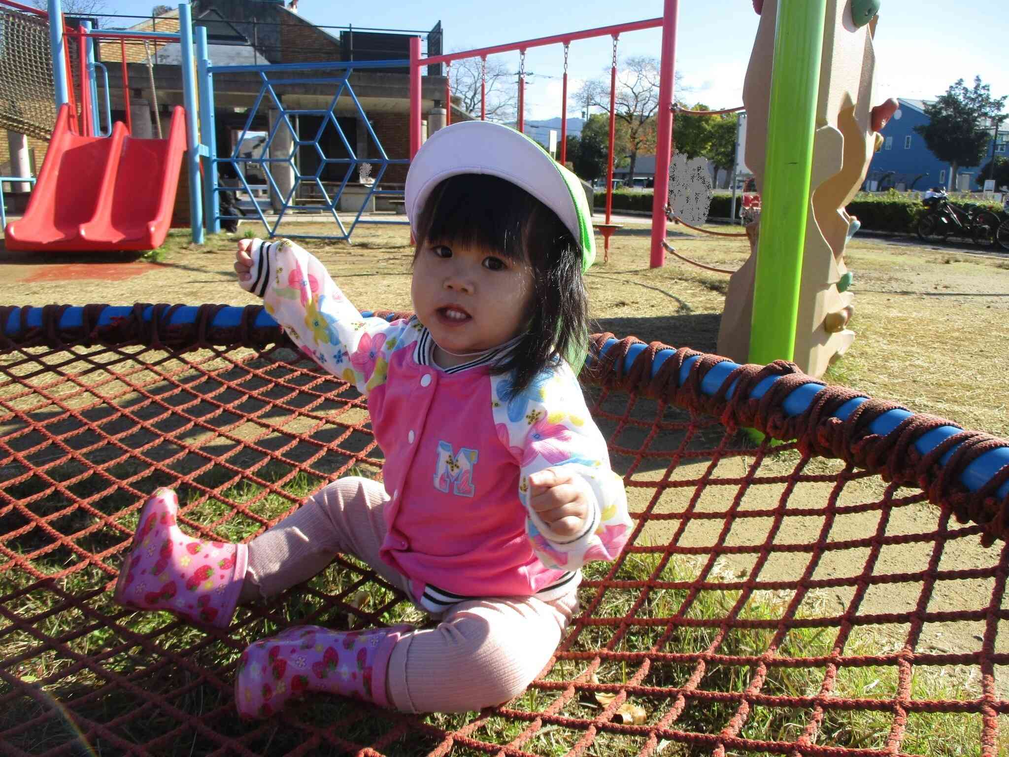 お散歩に行ったよ