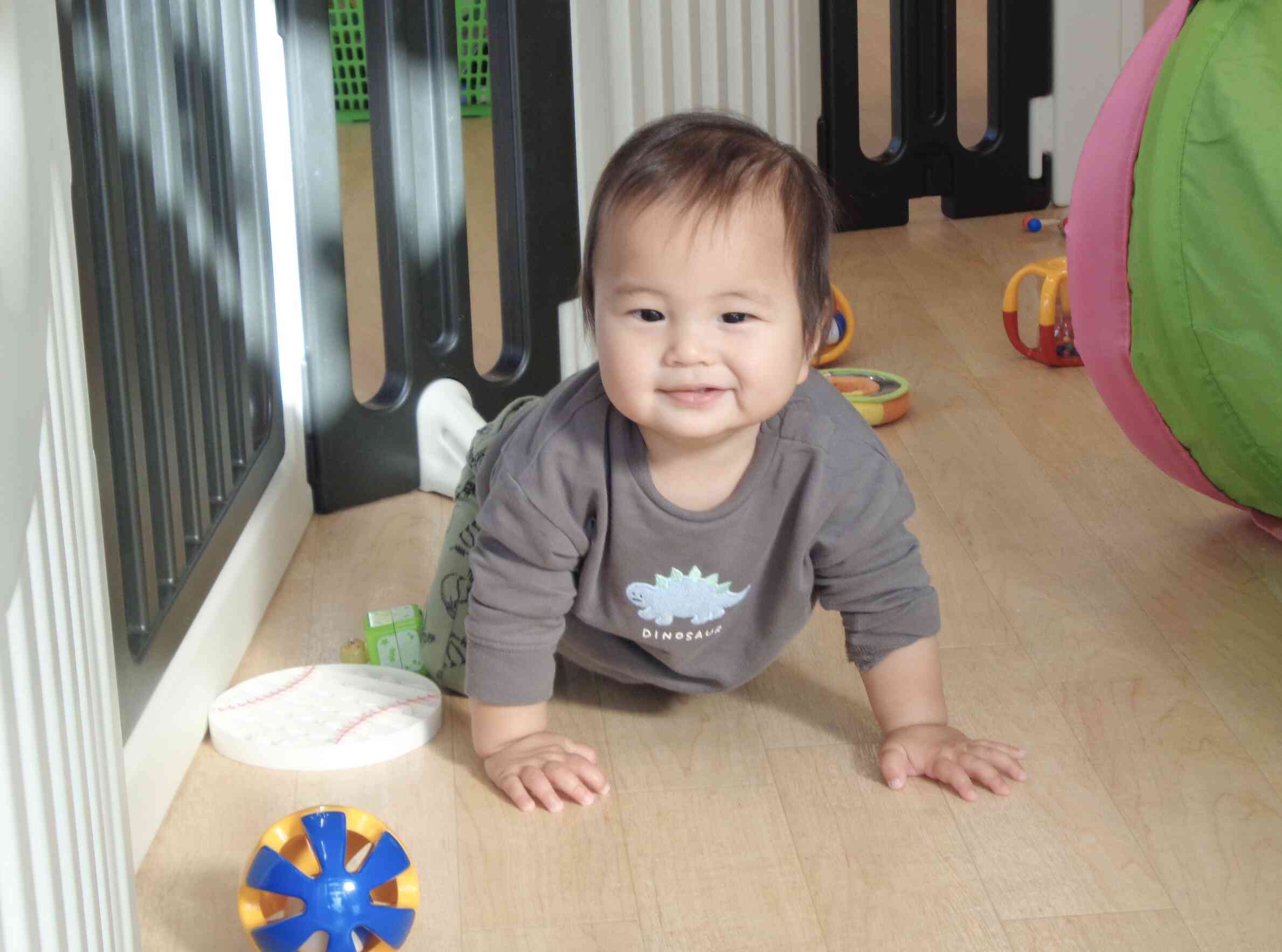 新しいお友だちが増えました!