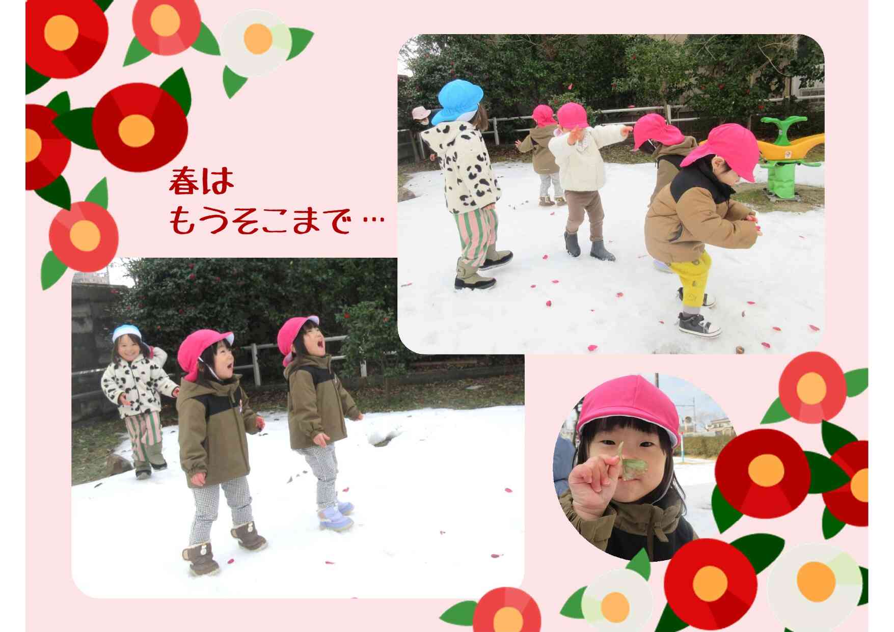 晴れ間を見てお散歩に行っています