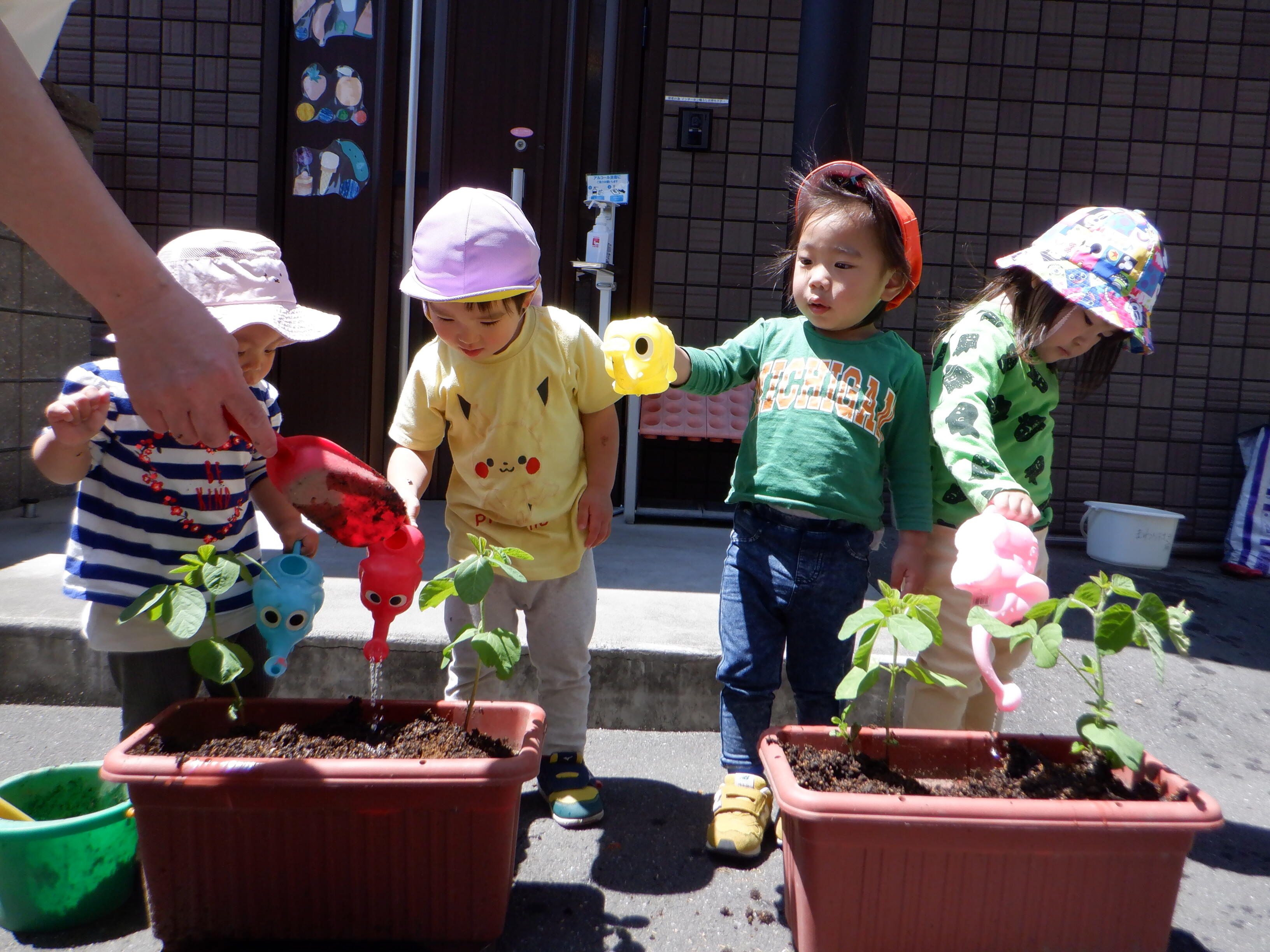 5月食育〈野菜の苗を植えよう！〉