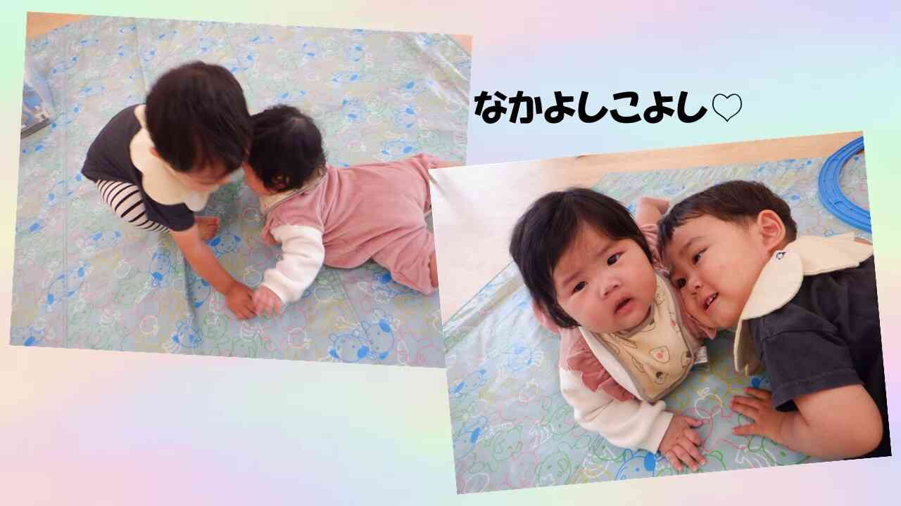 なかよしタイムを目撃!