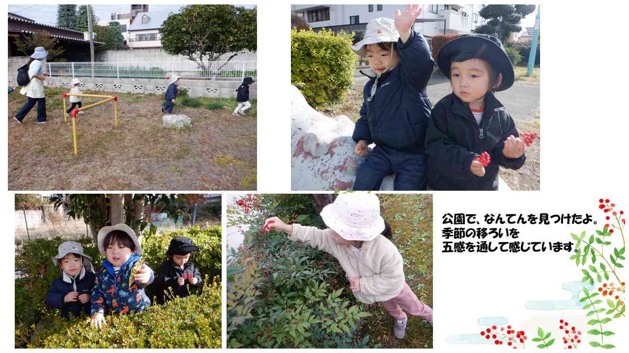 この実、何の実??