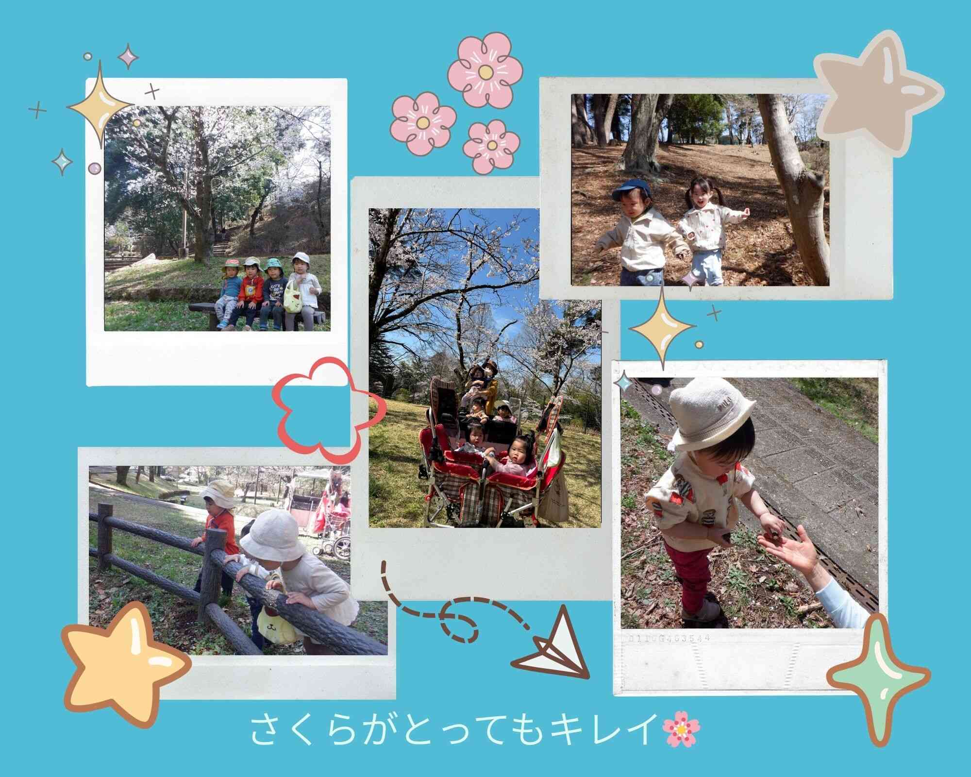 お花見(戸外遊び)