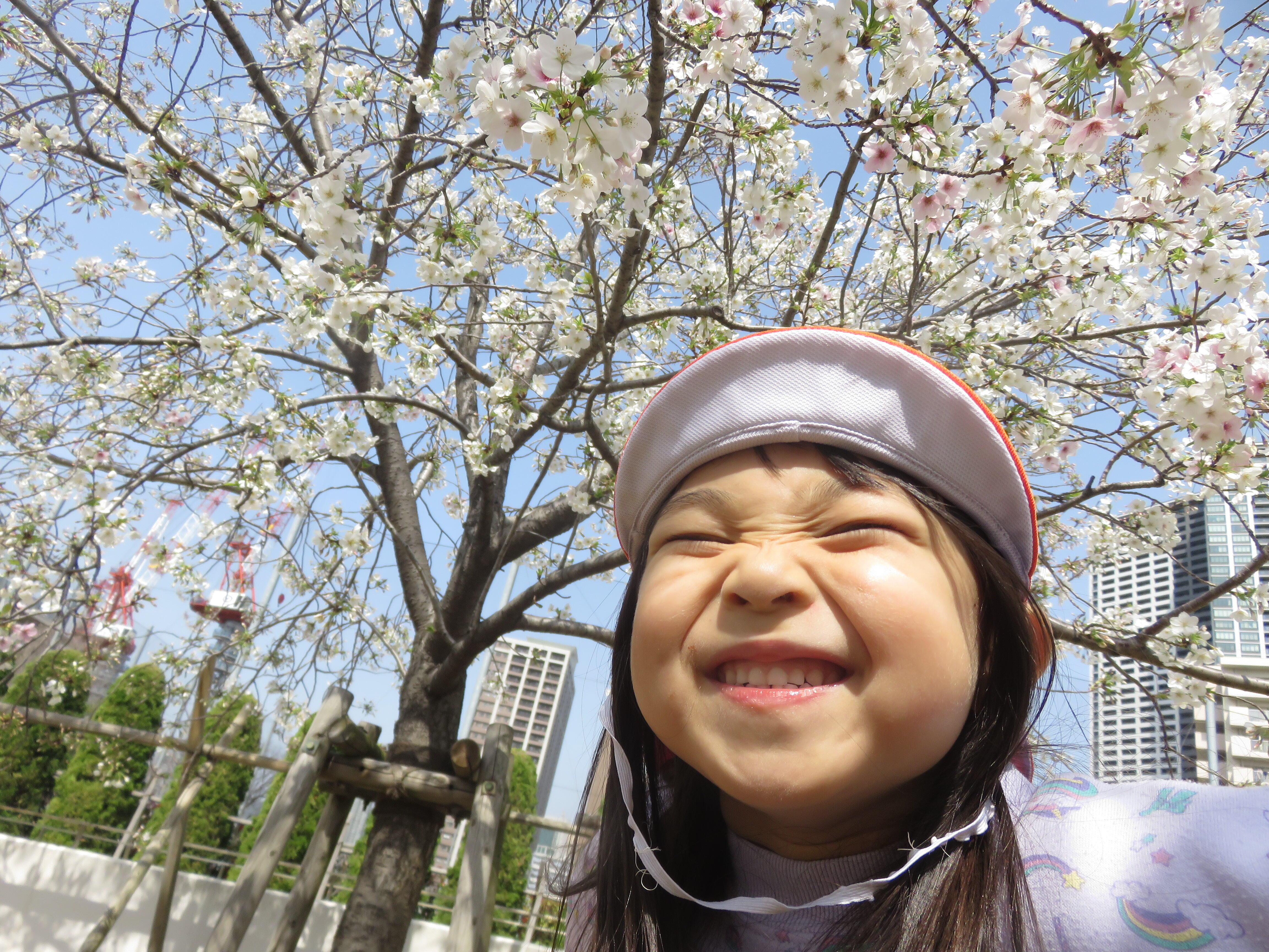 公園の桜がきれいだね！