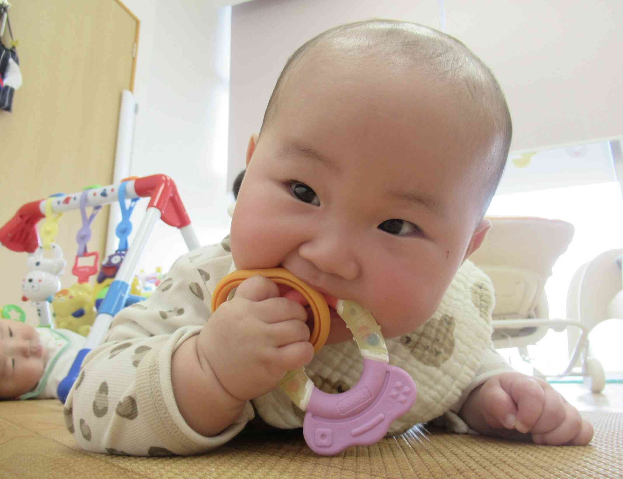 〜ひよこ組のお友だち〜