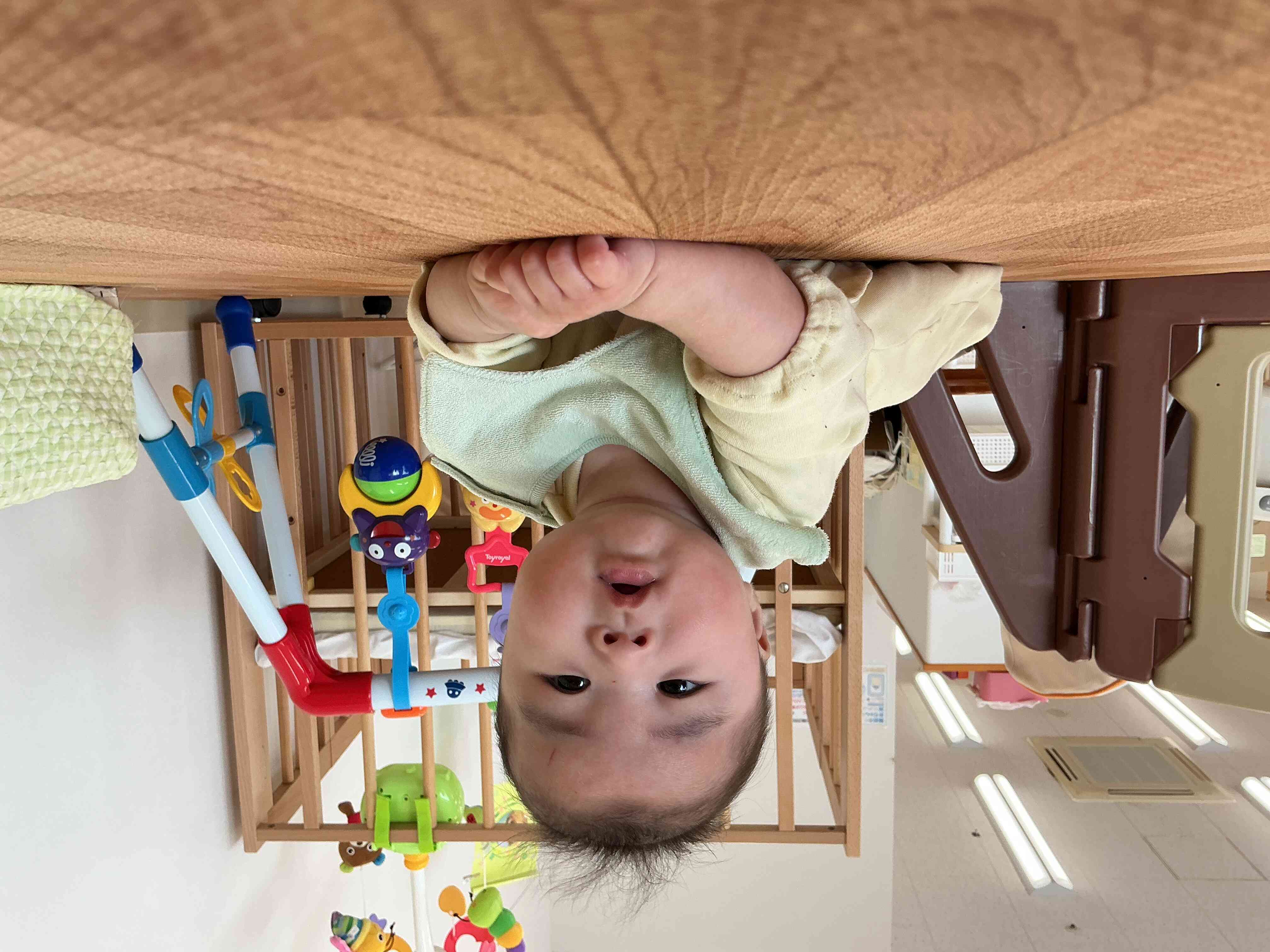 みんなの様子(ひよこ組)