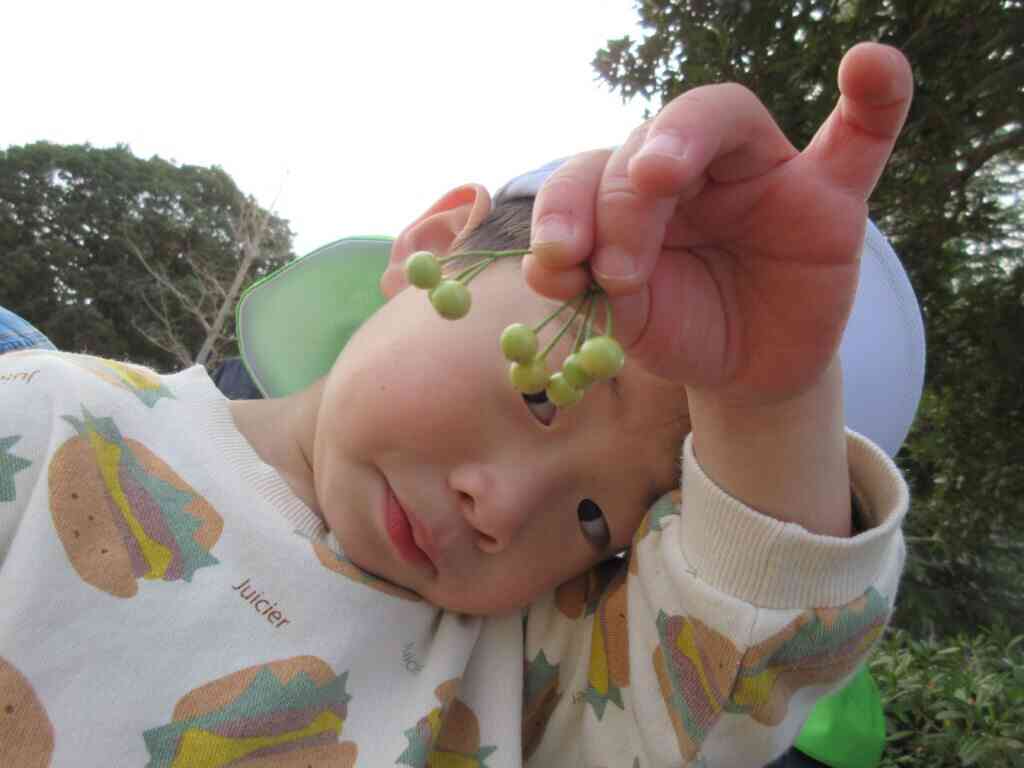 今週のうさぎ組(2歳児)