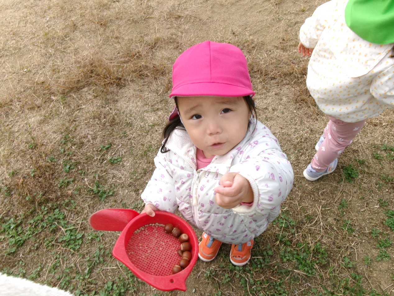 どんぐり探しへ、レッツゴー♪