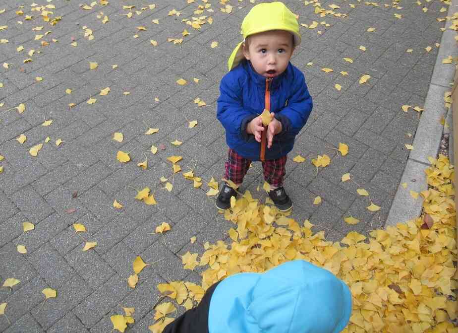 秋~冬のお散歩♪