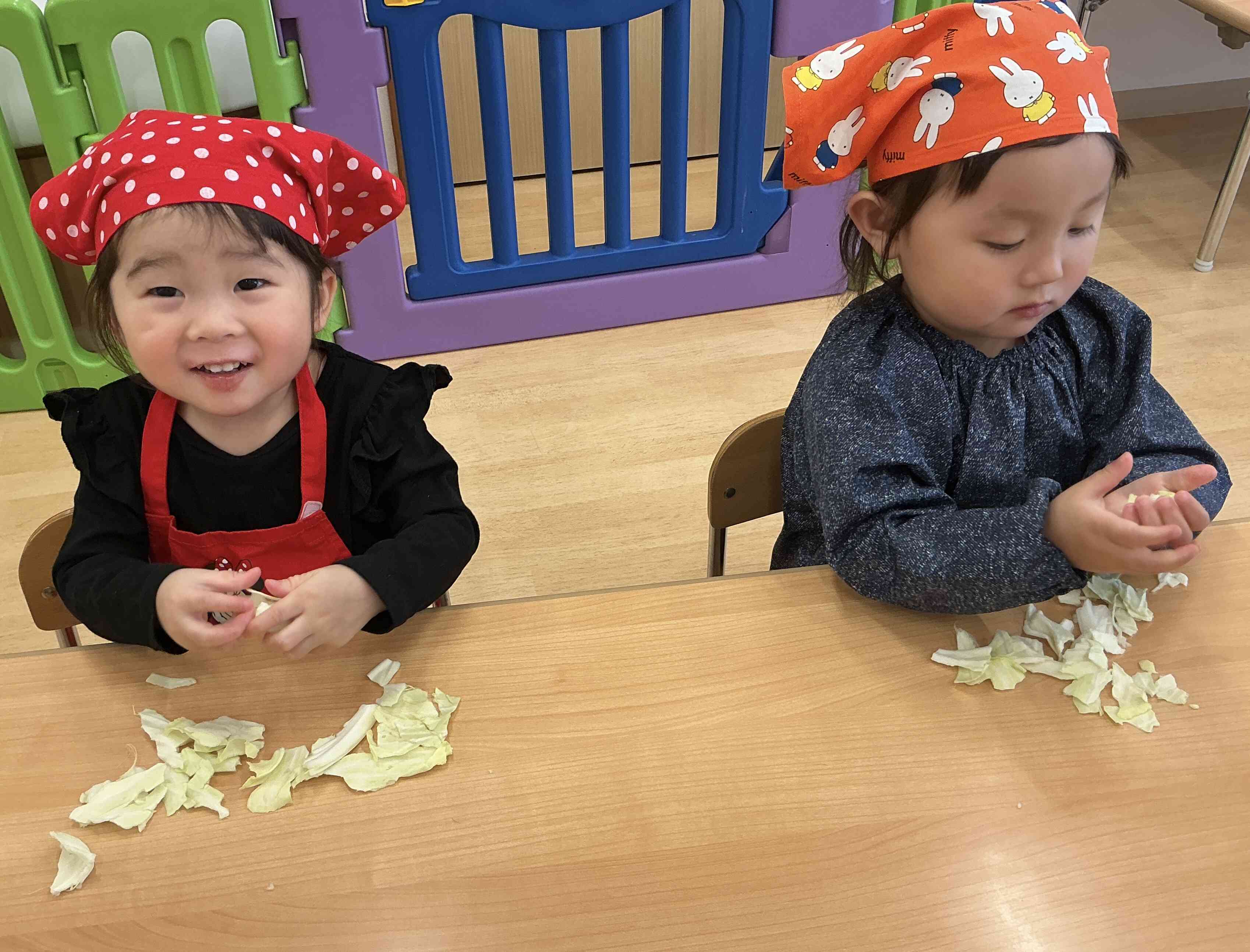 食育~キャベツちぎり~