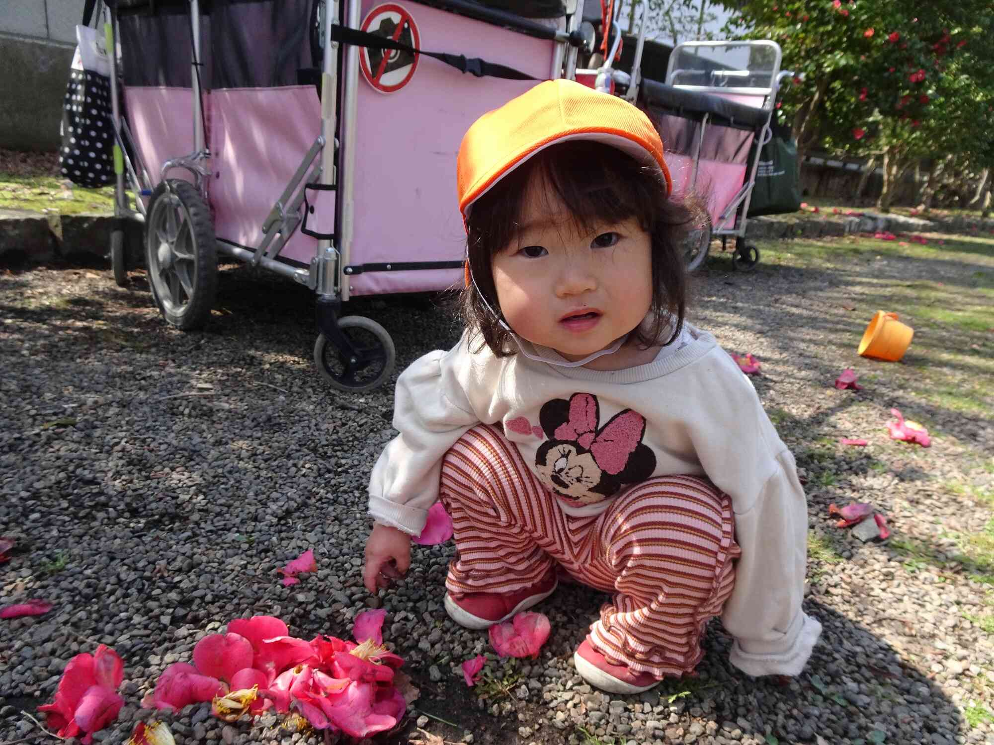 春らしくなってきました