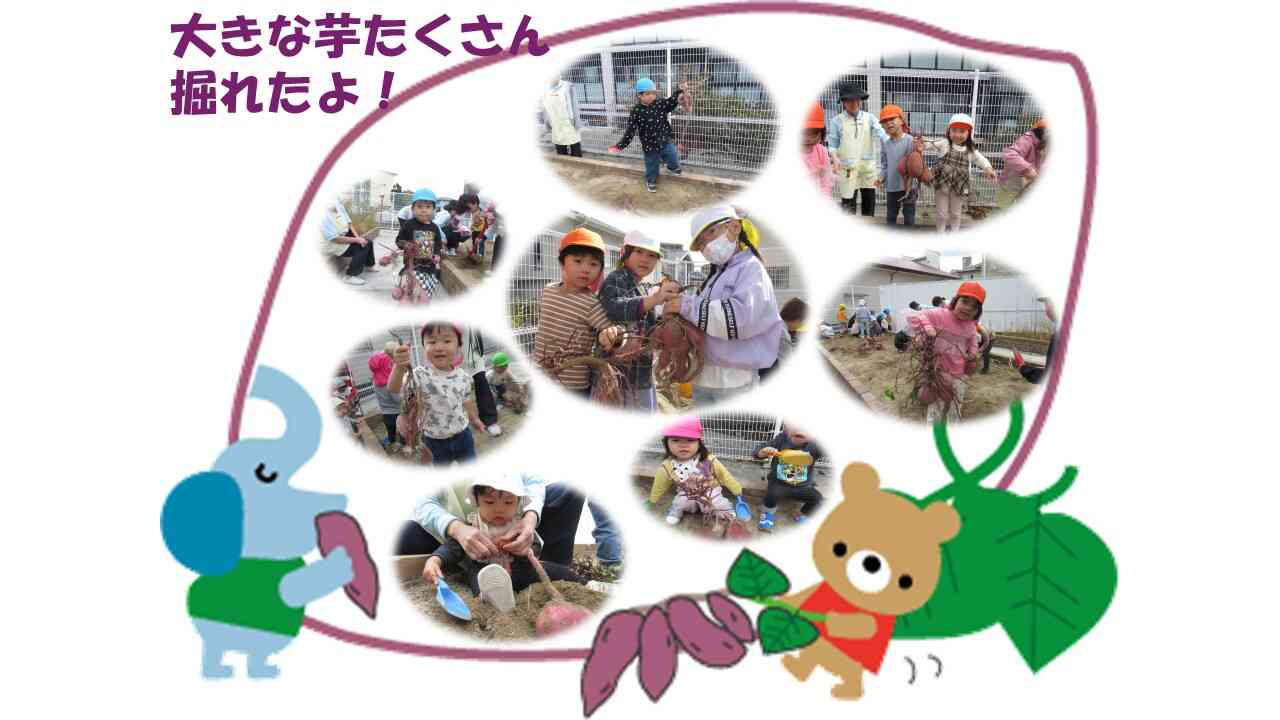 ♪食育で芋ほりを行いました♪