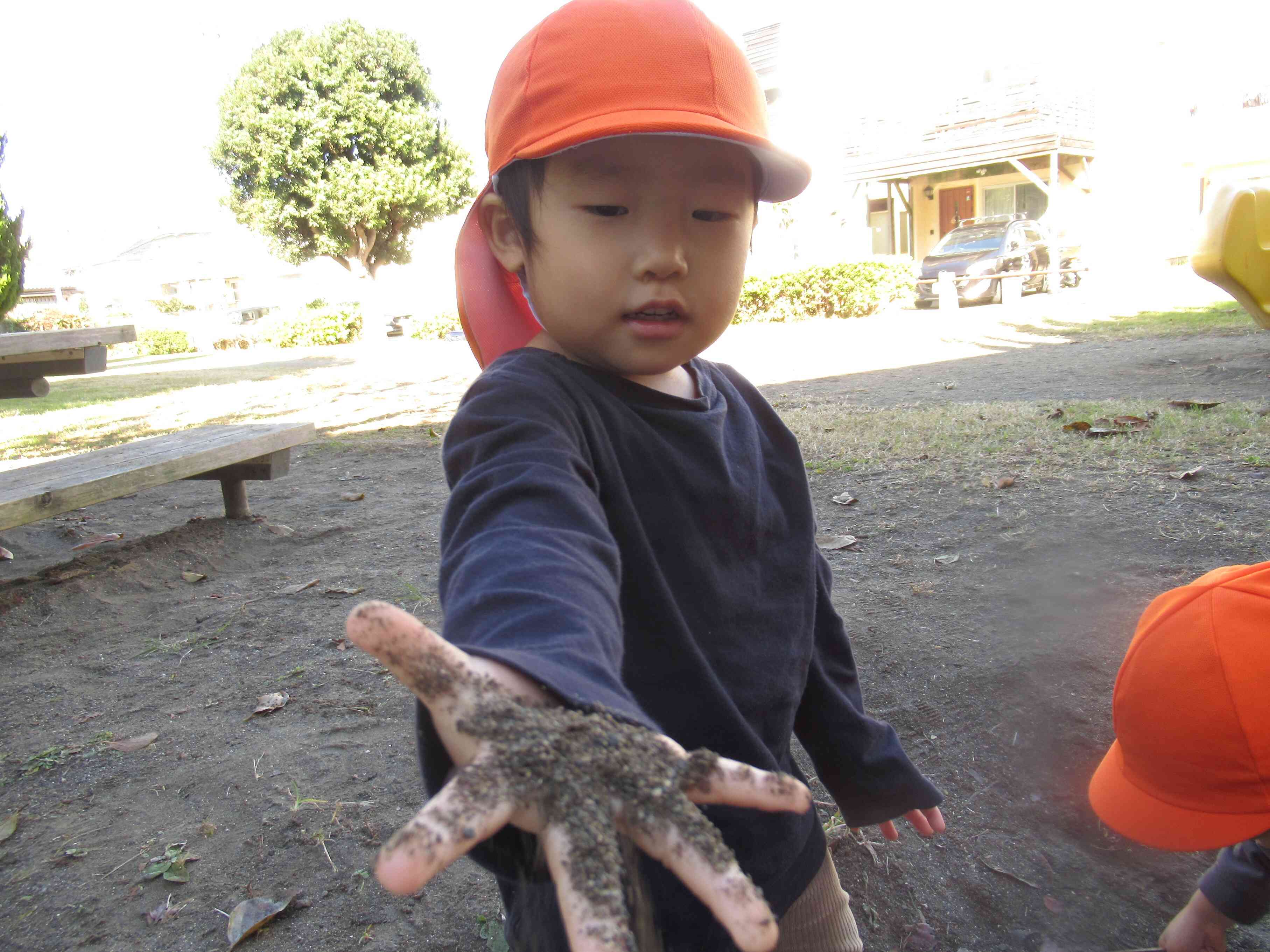 2歳児クラス うさぎ組さんのお散歩