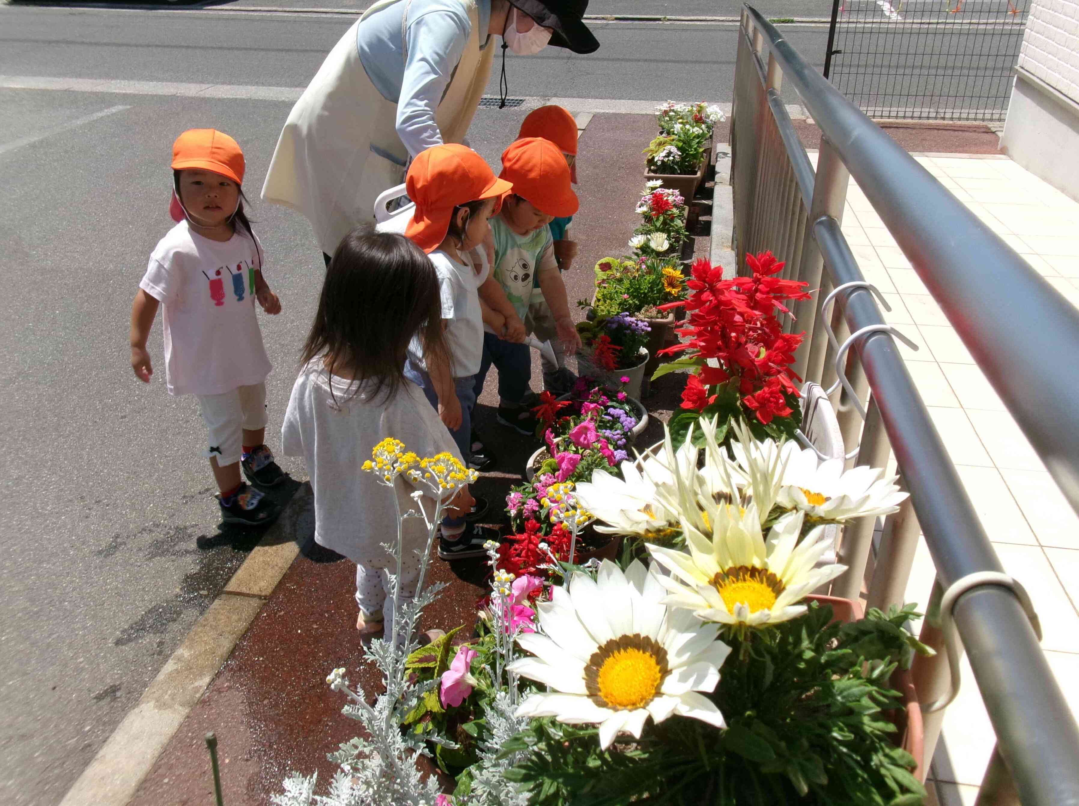 色とりどりのお花、きれいだね!