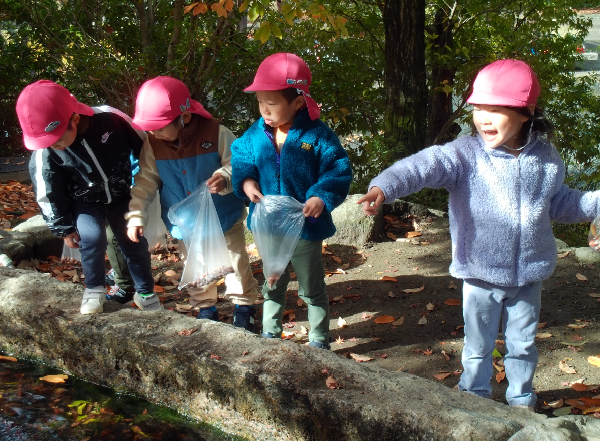 どんぐりみ~つけた!