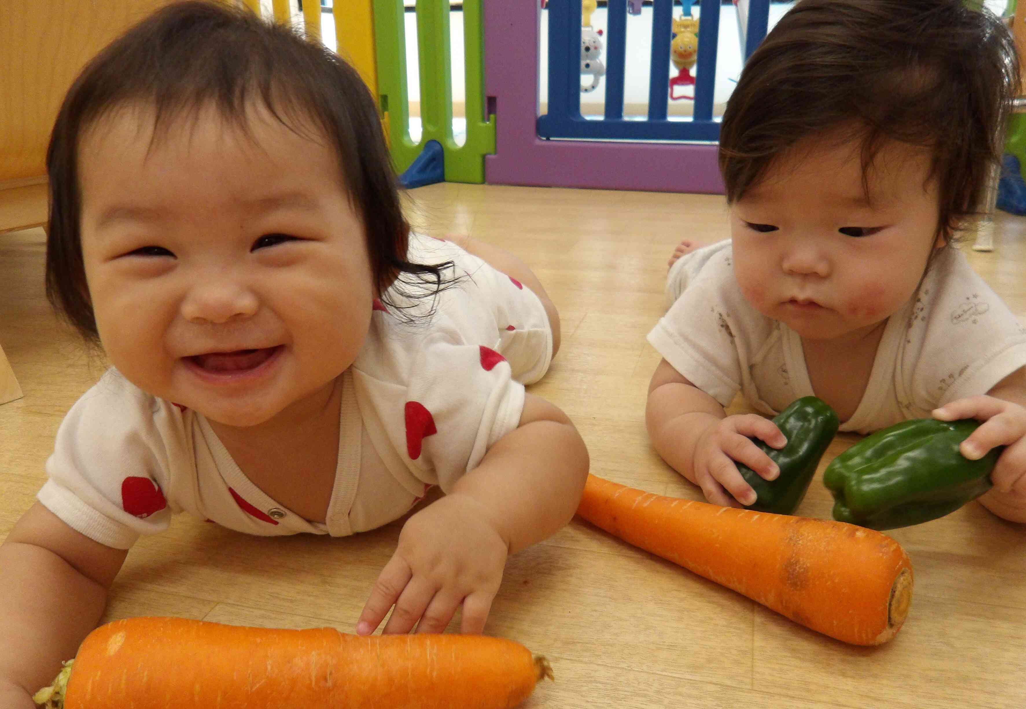 8月の食育~野菜に触れる~