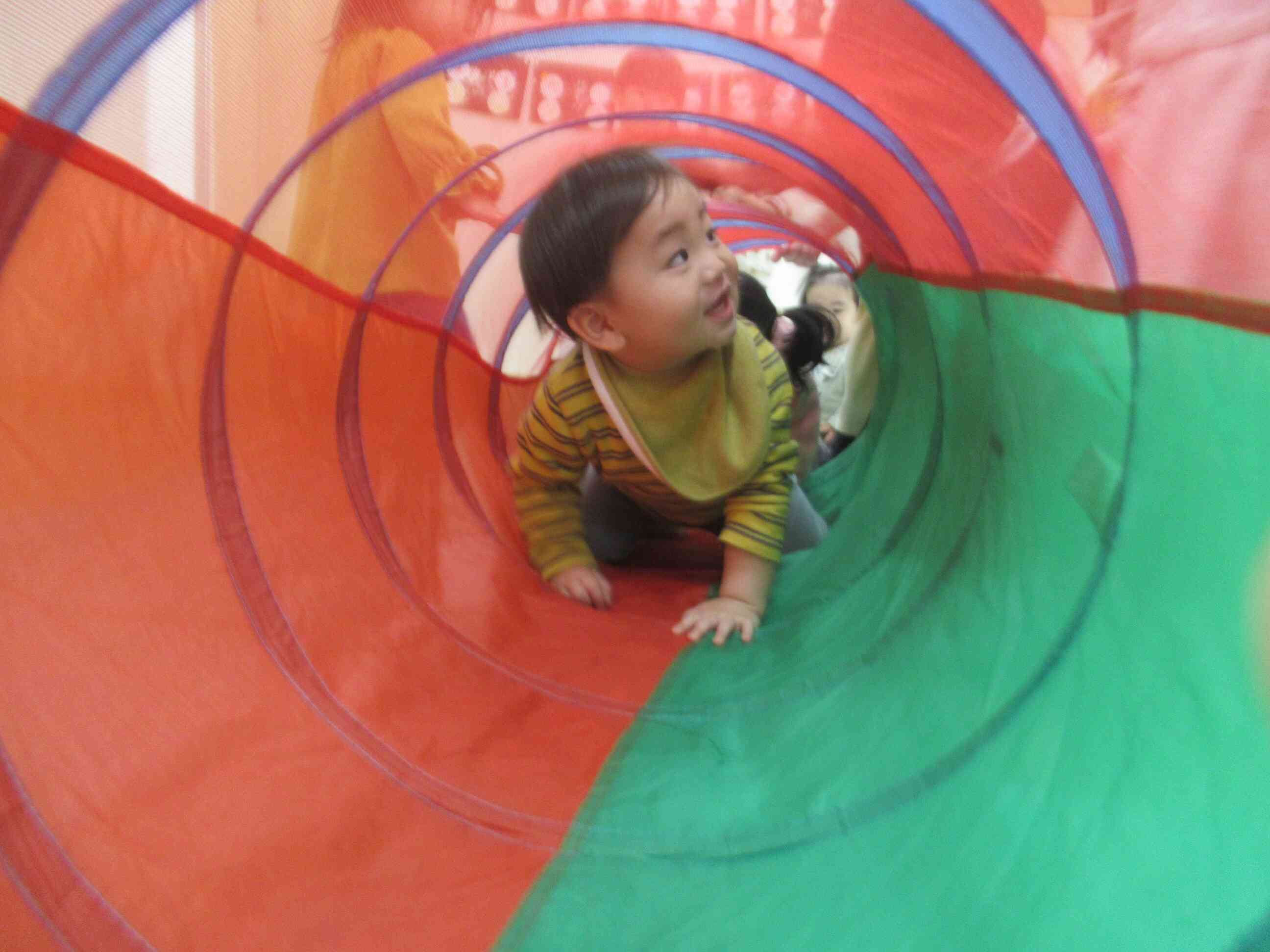 お部屋の中でも元気いっぱい