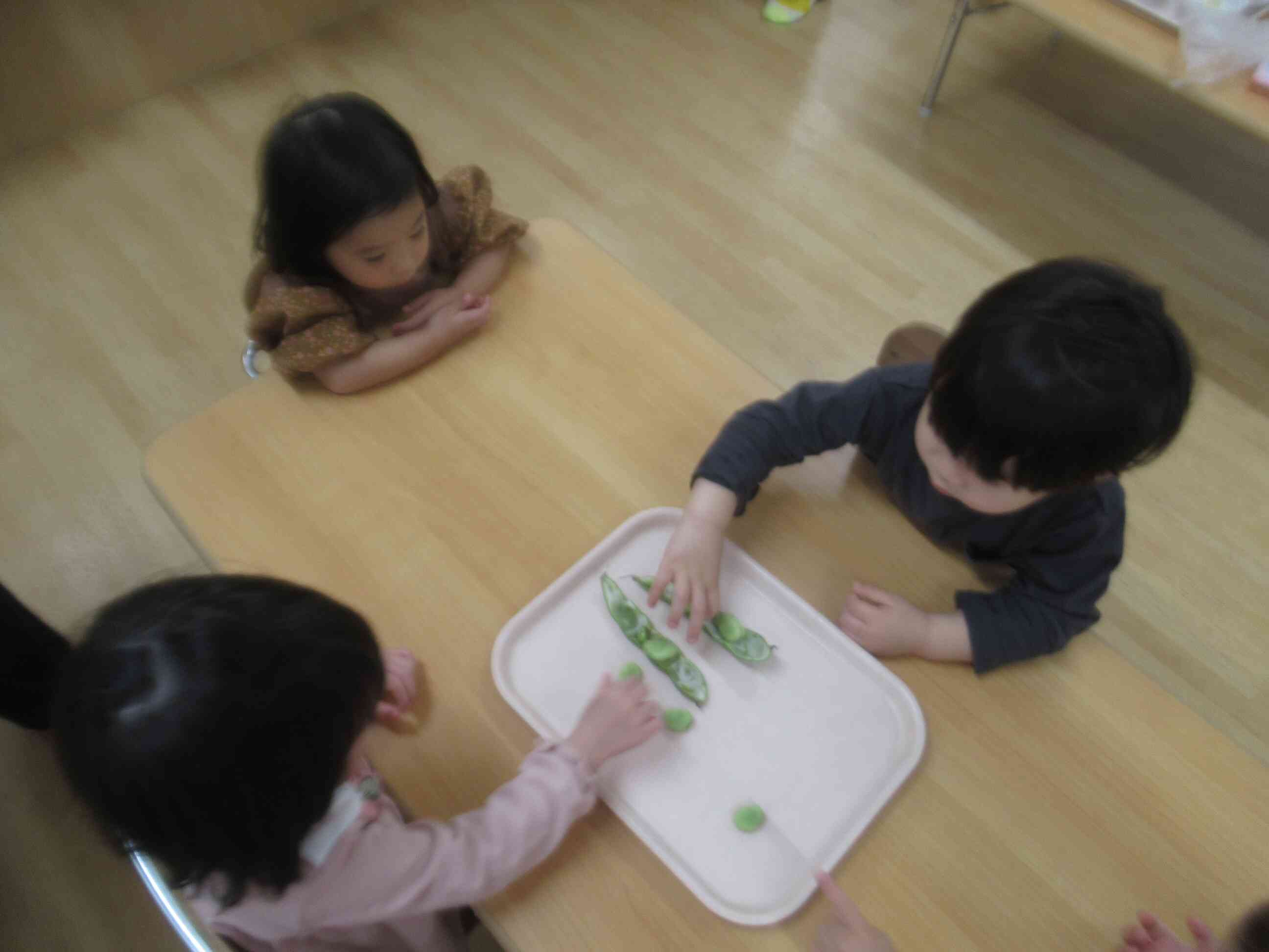 ４月の活動