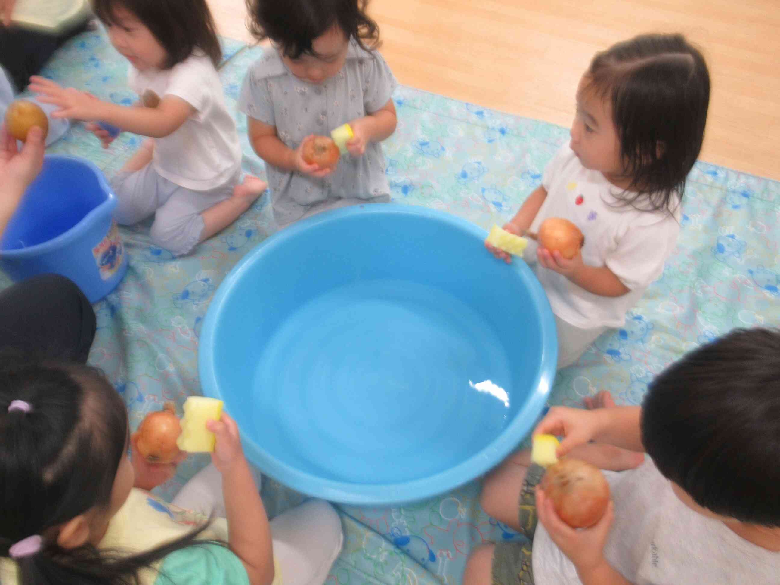 お野菜をスポンジでゴシゴシ♪