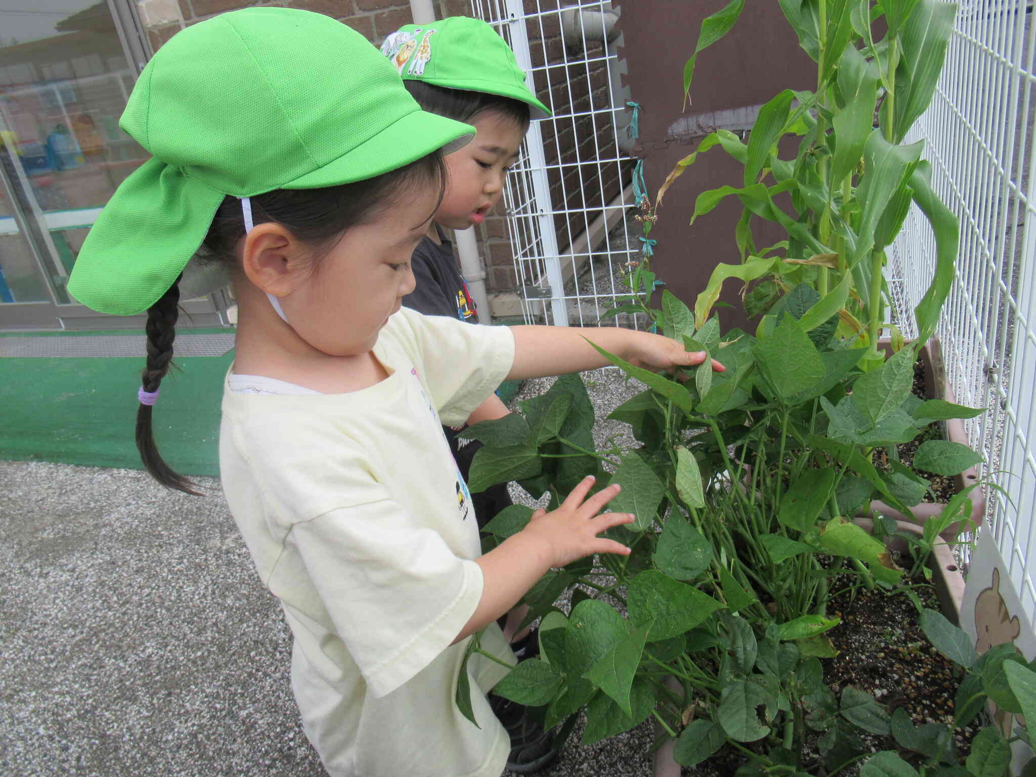 お野菜はどこかなぁ…？