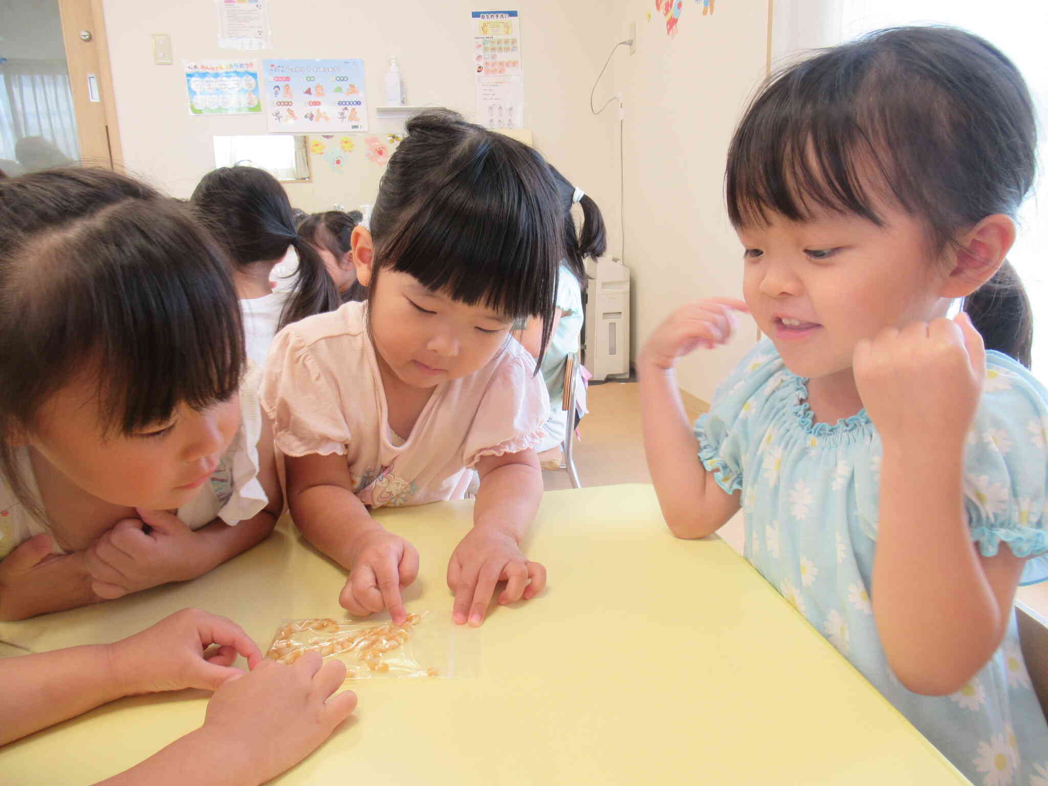 とうもろこしを触ってみよう！