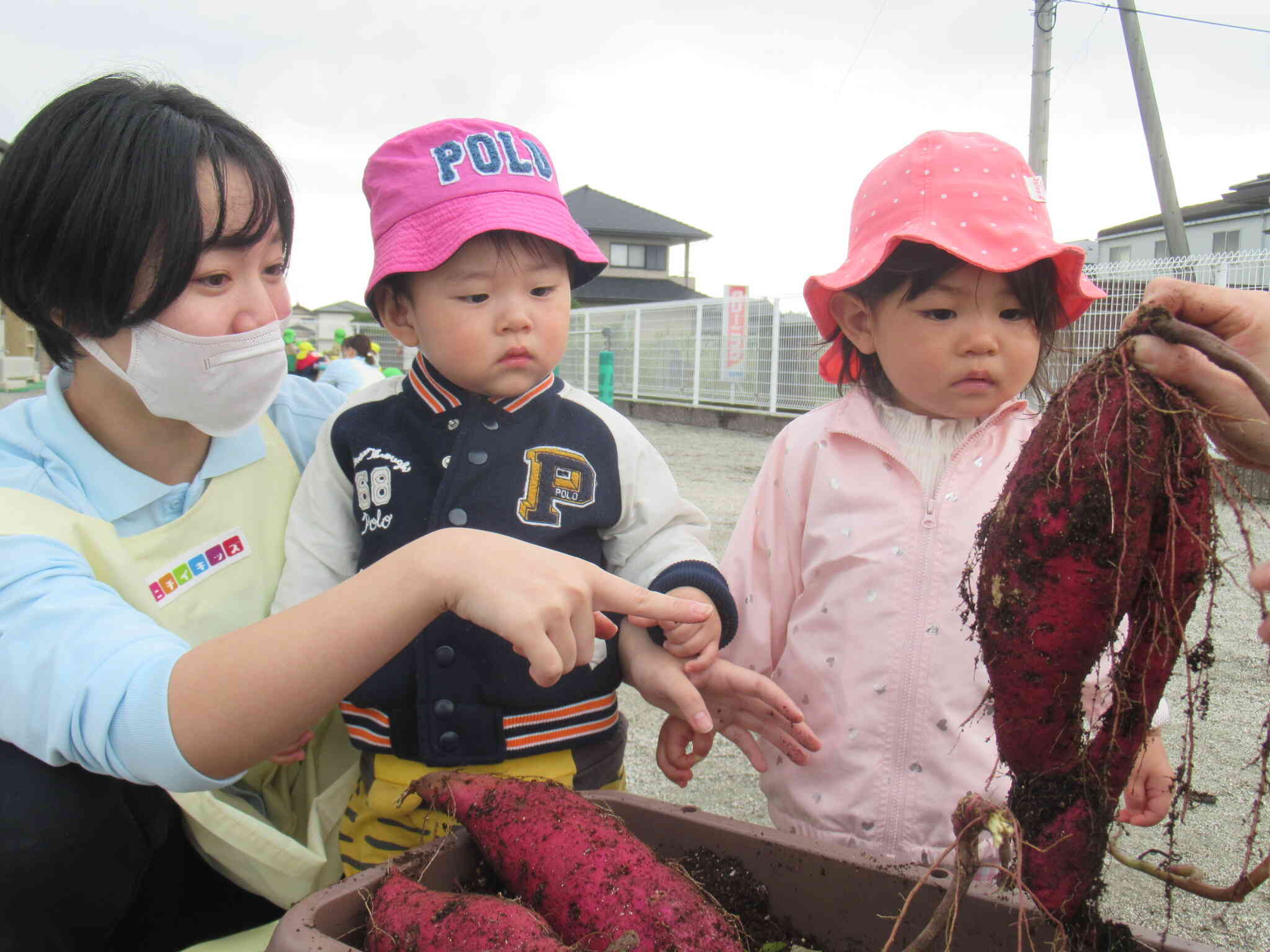 これ、なあに？