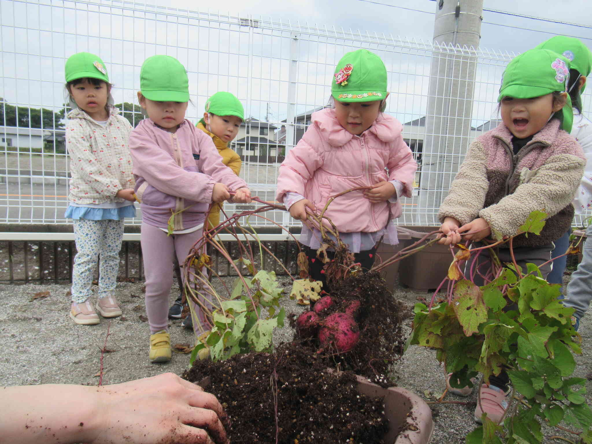 うわ！！！いーぱいついとる！！