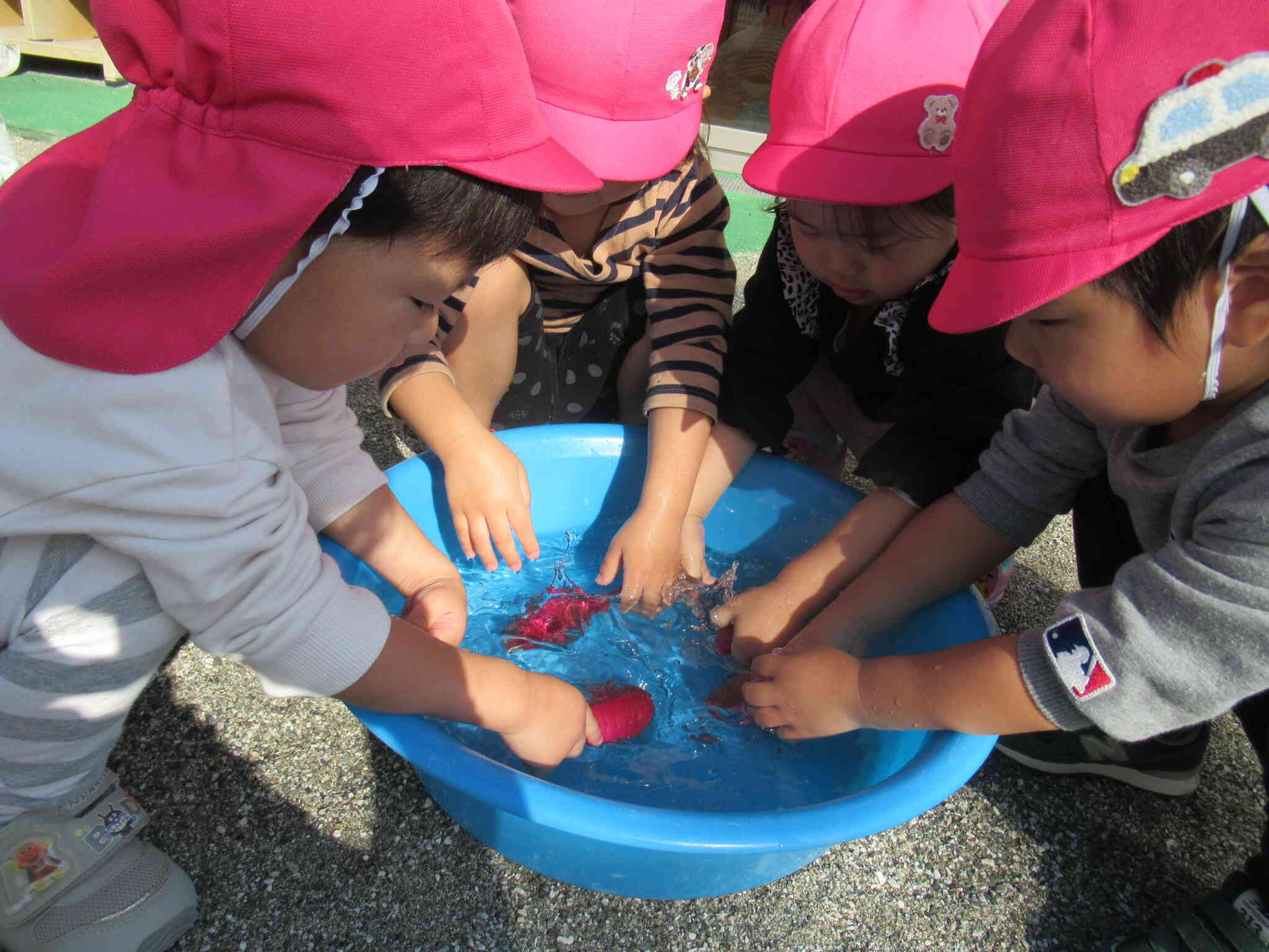 焼き芋を作ろう！～うさぎ組さん・りす組さん～