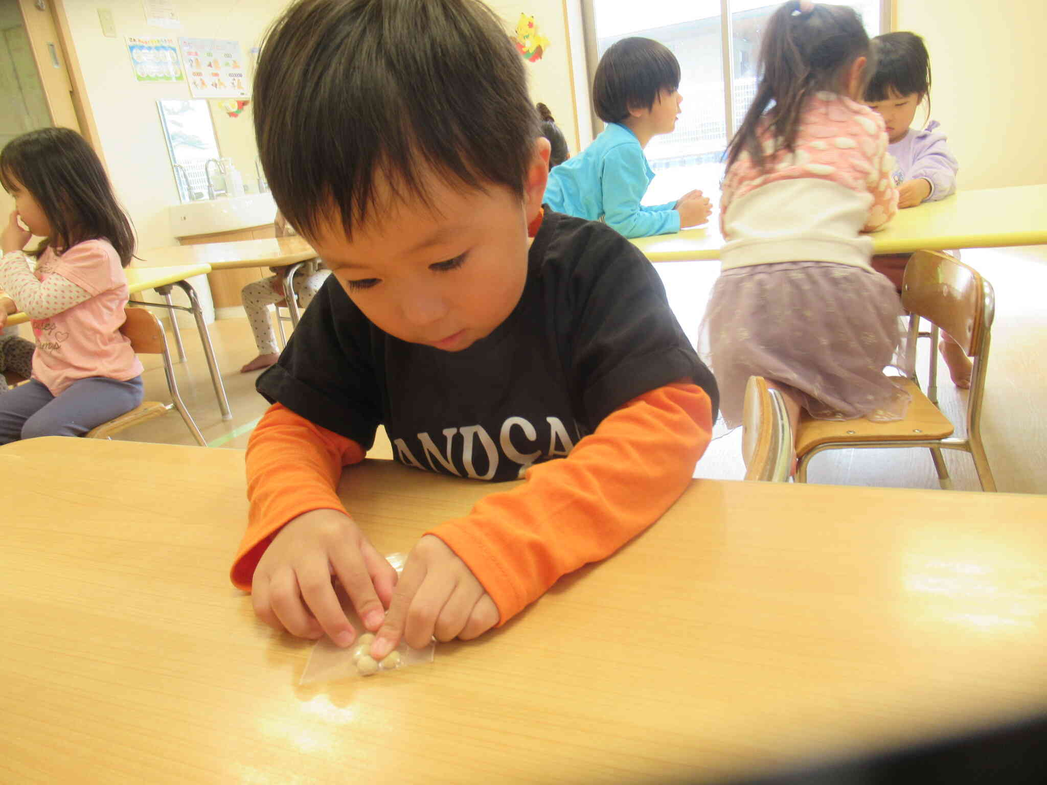 つんつんとさわってみると・・・「大豆ってかたい！」