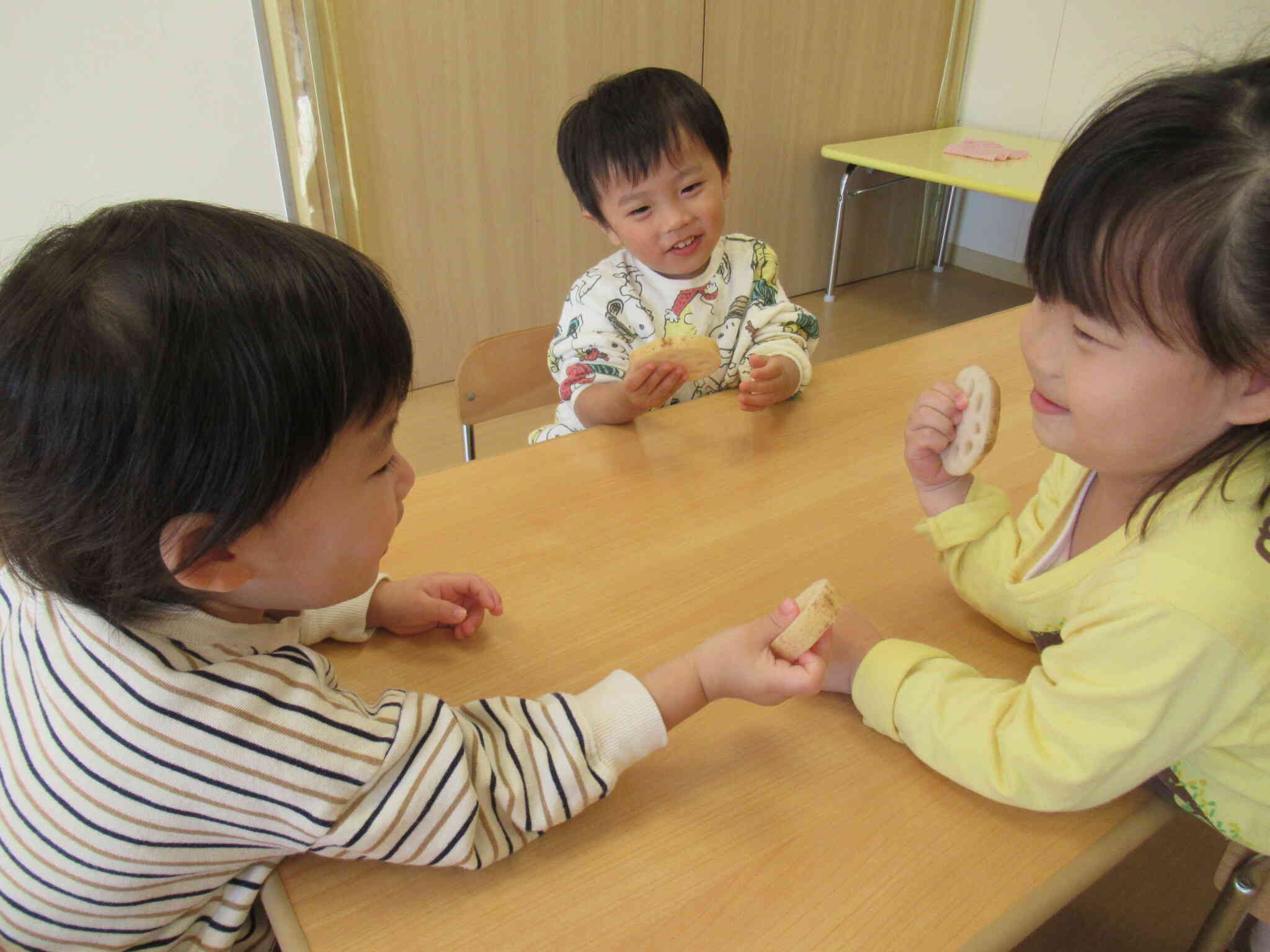 れんこんの観察をしてみよう！