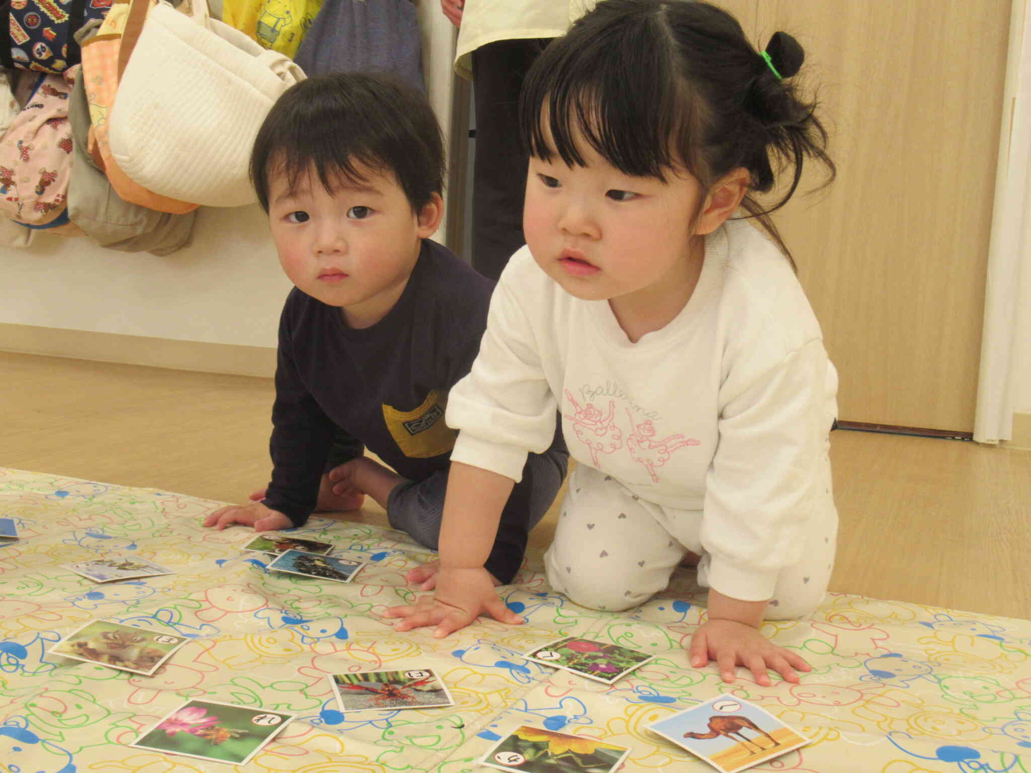 ちょっぴり難しいかるたあそび⭐︎