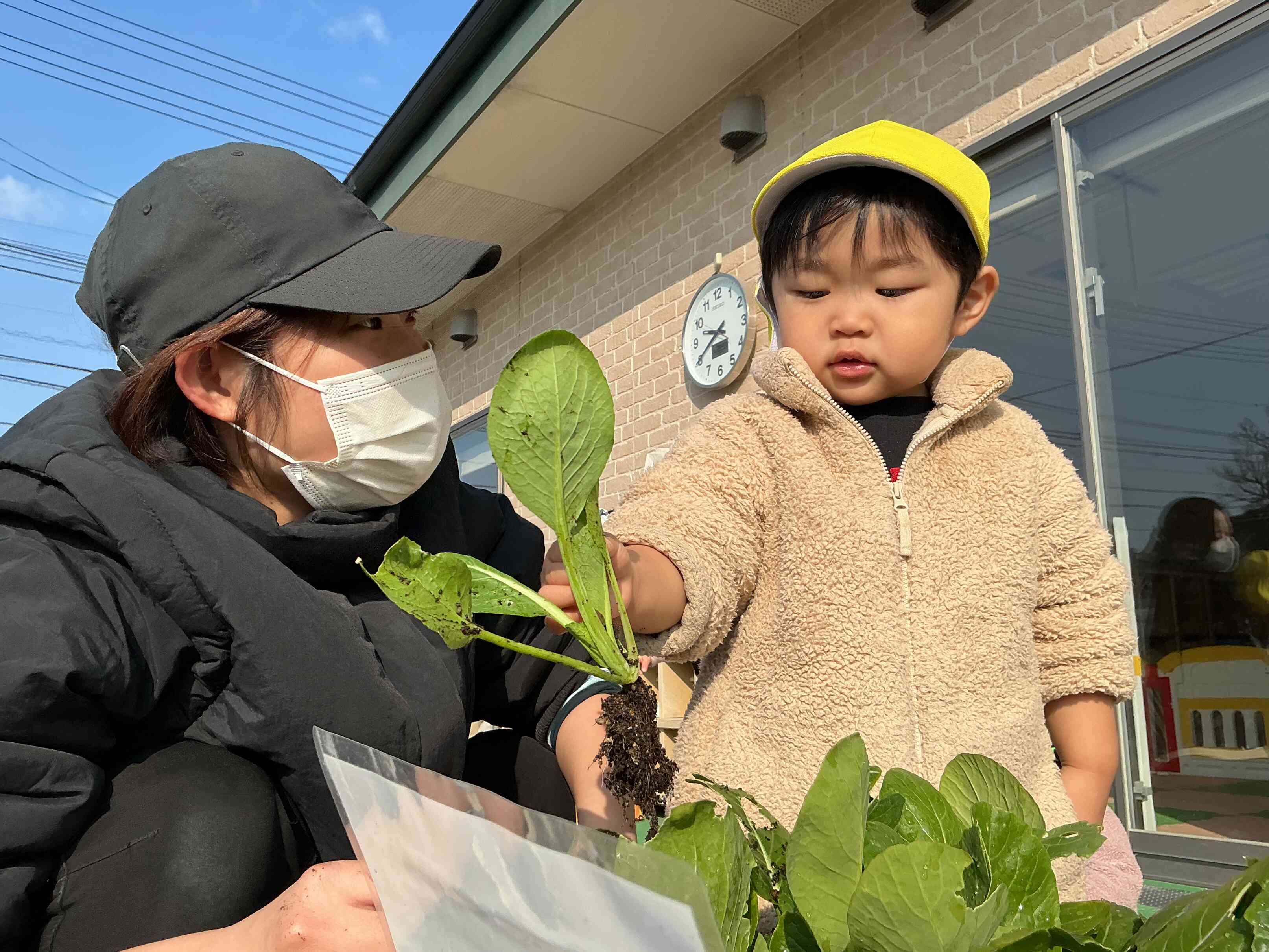 うんとこしょ♬どっこいっしょ♬