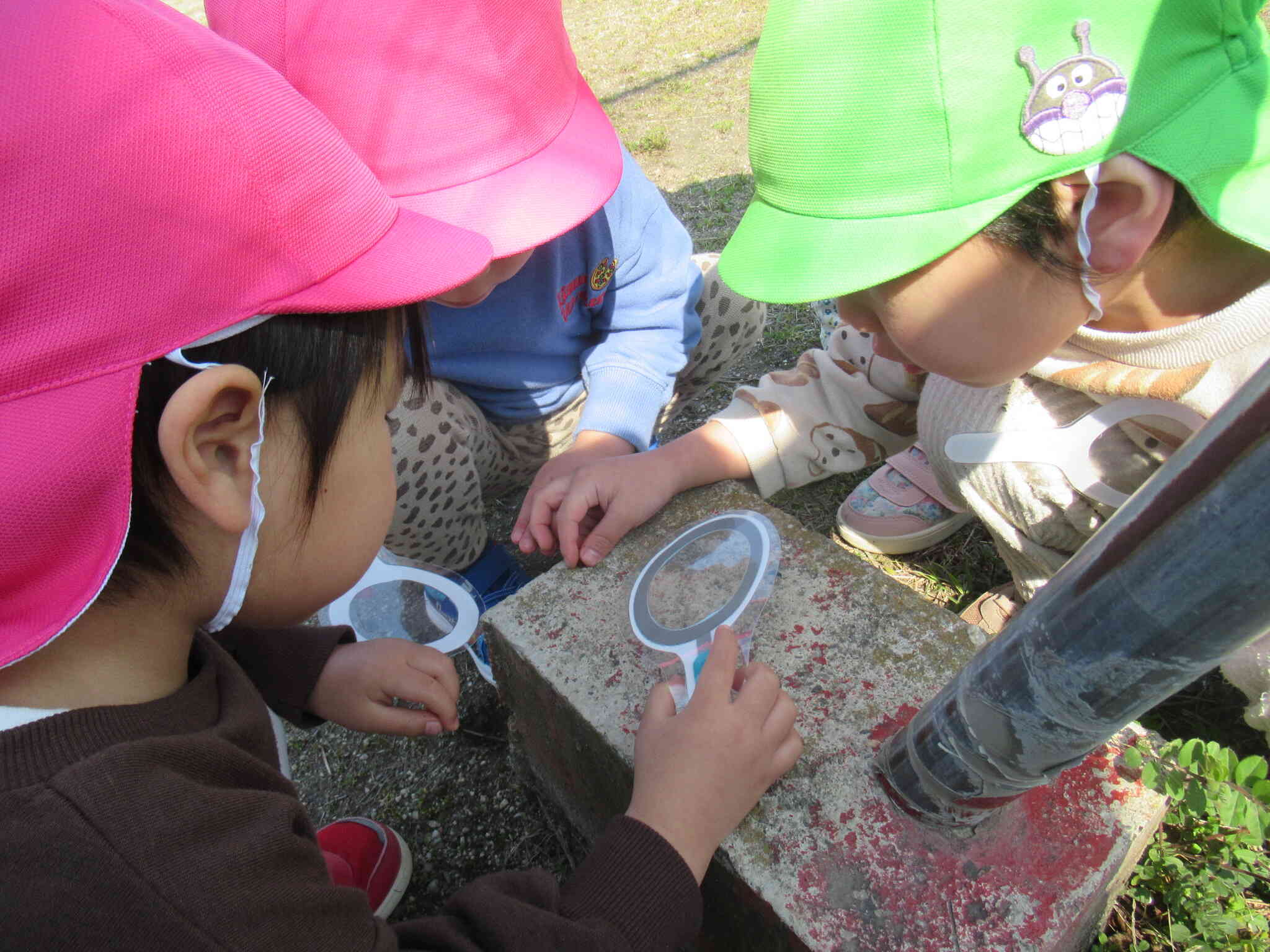 虫探しに夢中♡