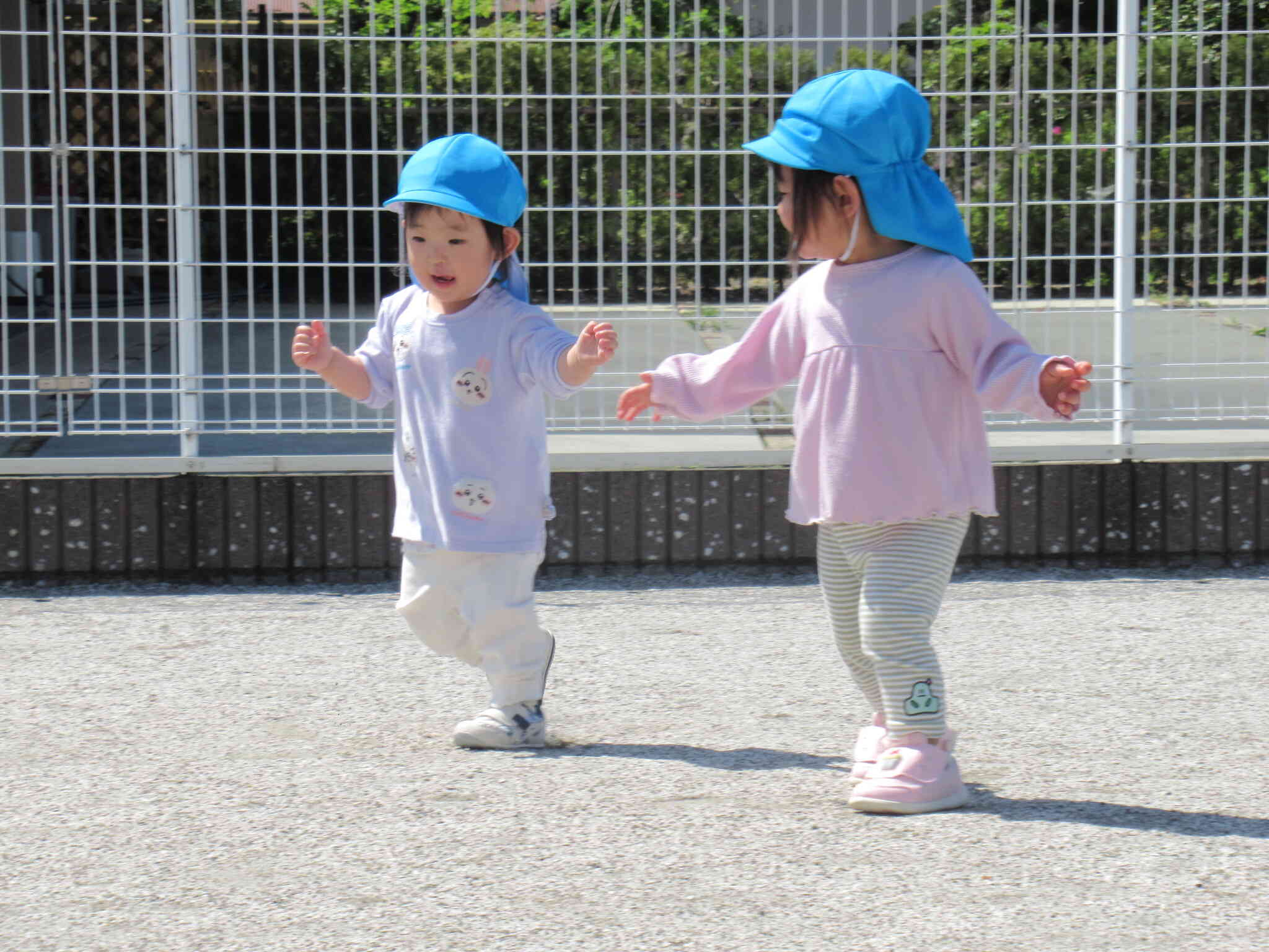 大好きな園庭で遊んだよ♡