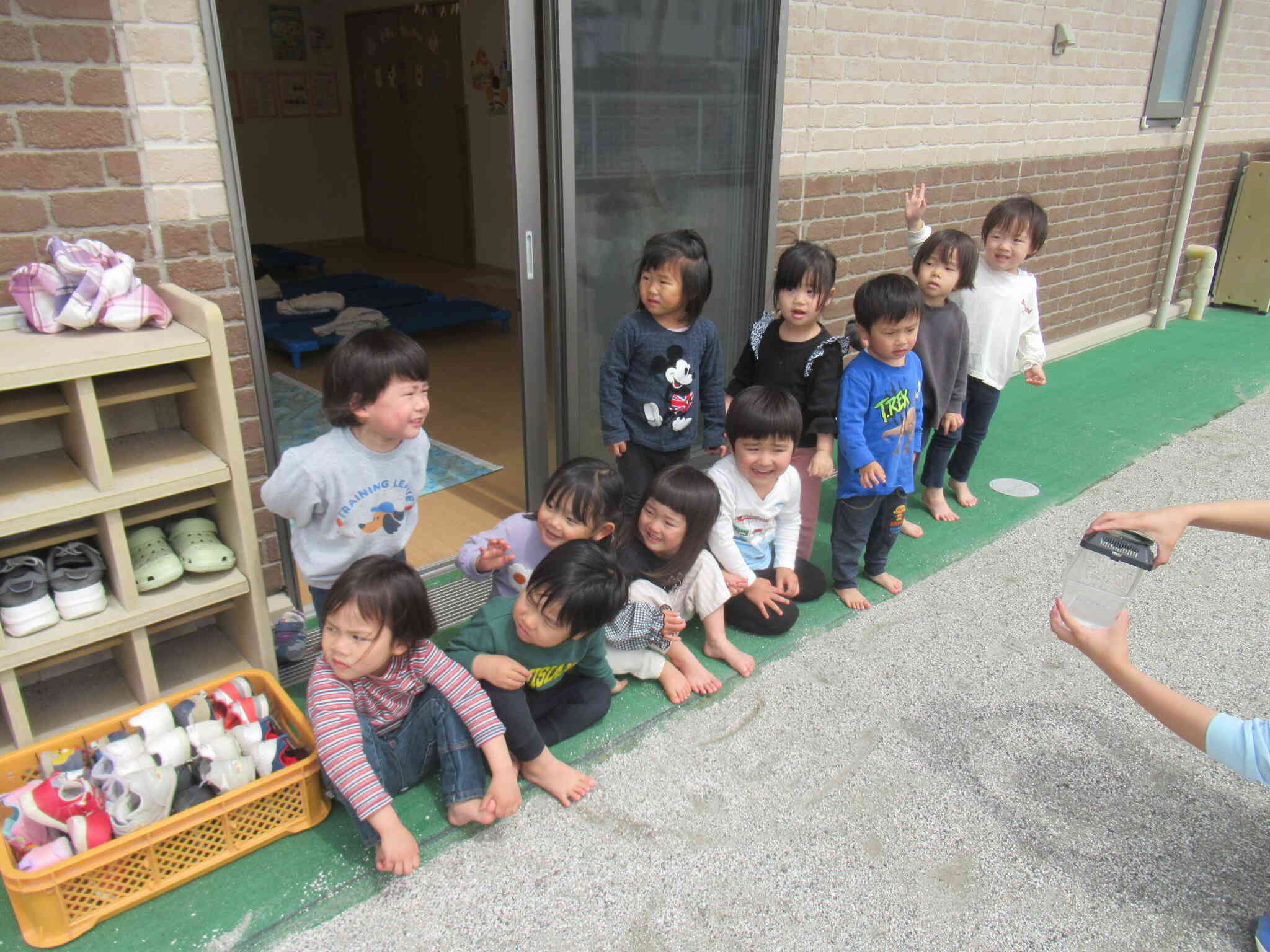 さなぎがちょうちょうになったよ！