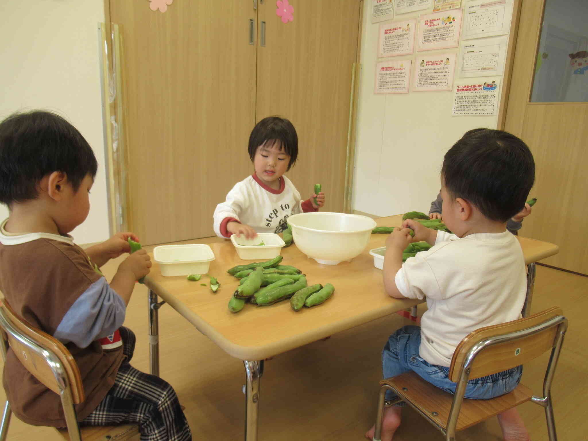 そら豆のさやむきをして観察してみよう♪