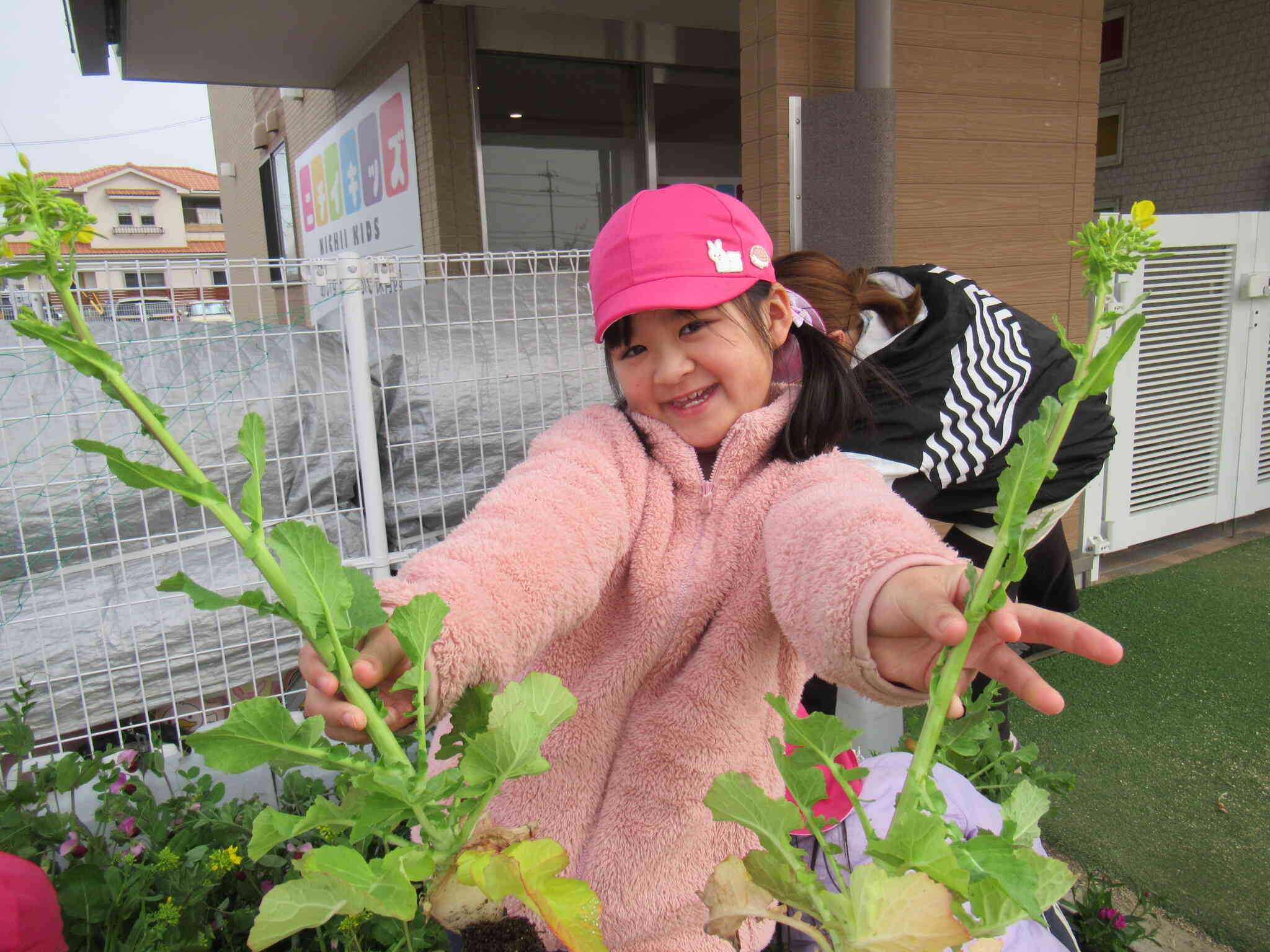 こんなに小さいかぶもありました。「わたしがとったかぶ、赤ちゃんだったよ。かわいいでしょ♡」