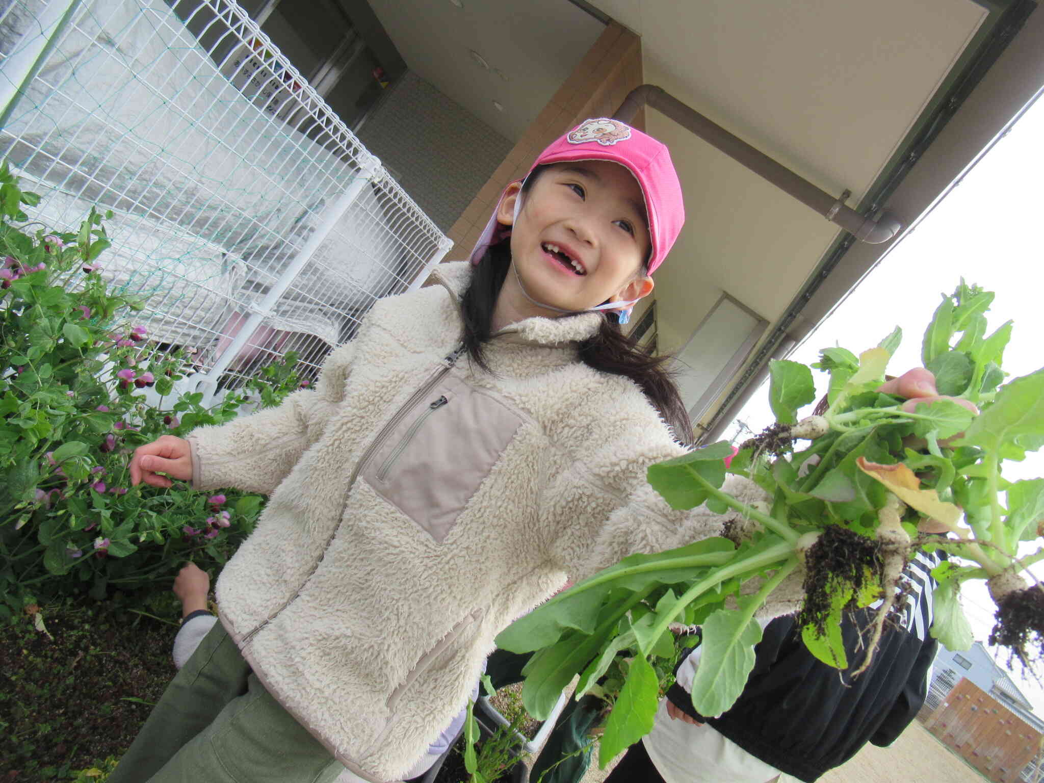 「このお花、かわいい！あとでお部屋に飾ろうっと♪」かぶの葉っぱ、よく見ると黄色くて小さいお花が咲いていました。