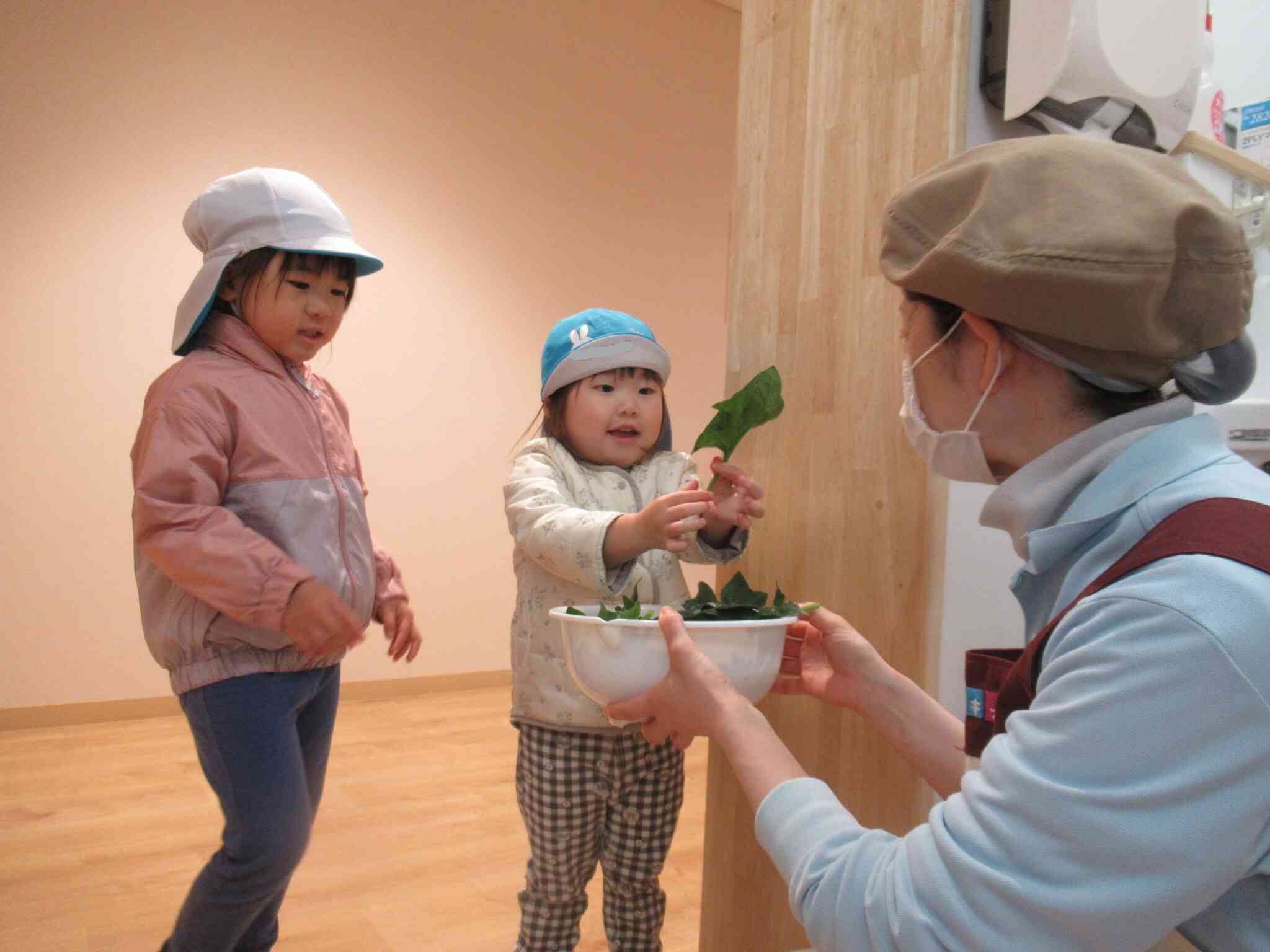 お野菜たくさんとれたよ~♪