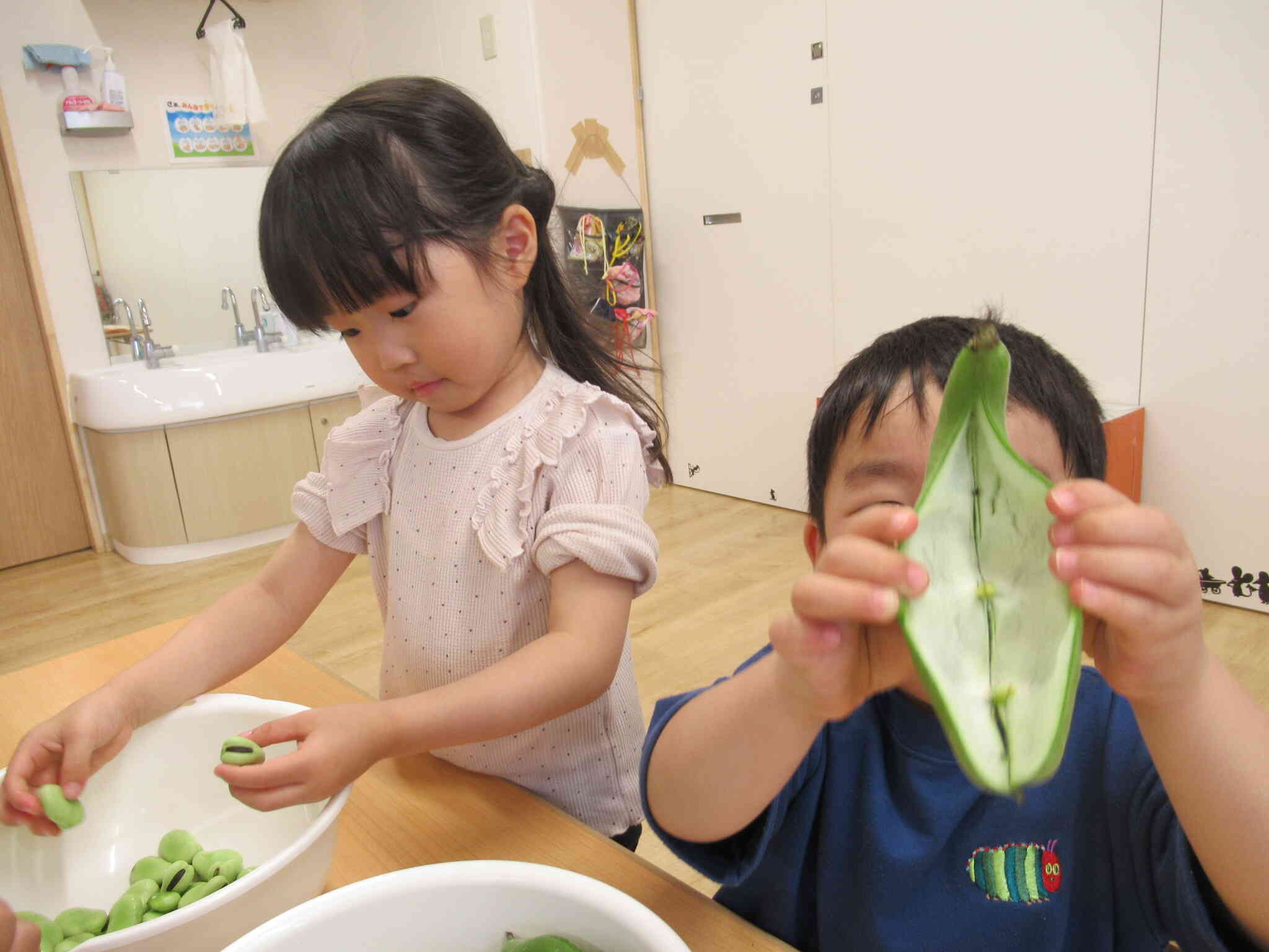 豆の違いを比べてみよう
