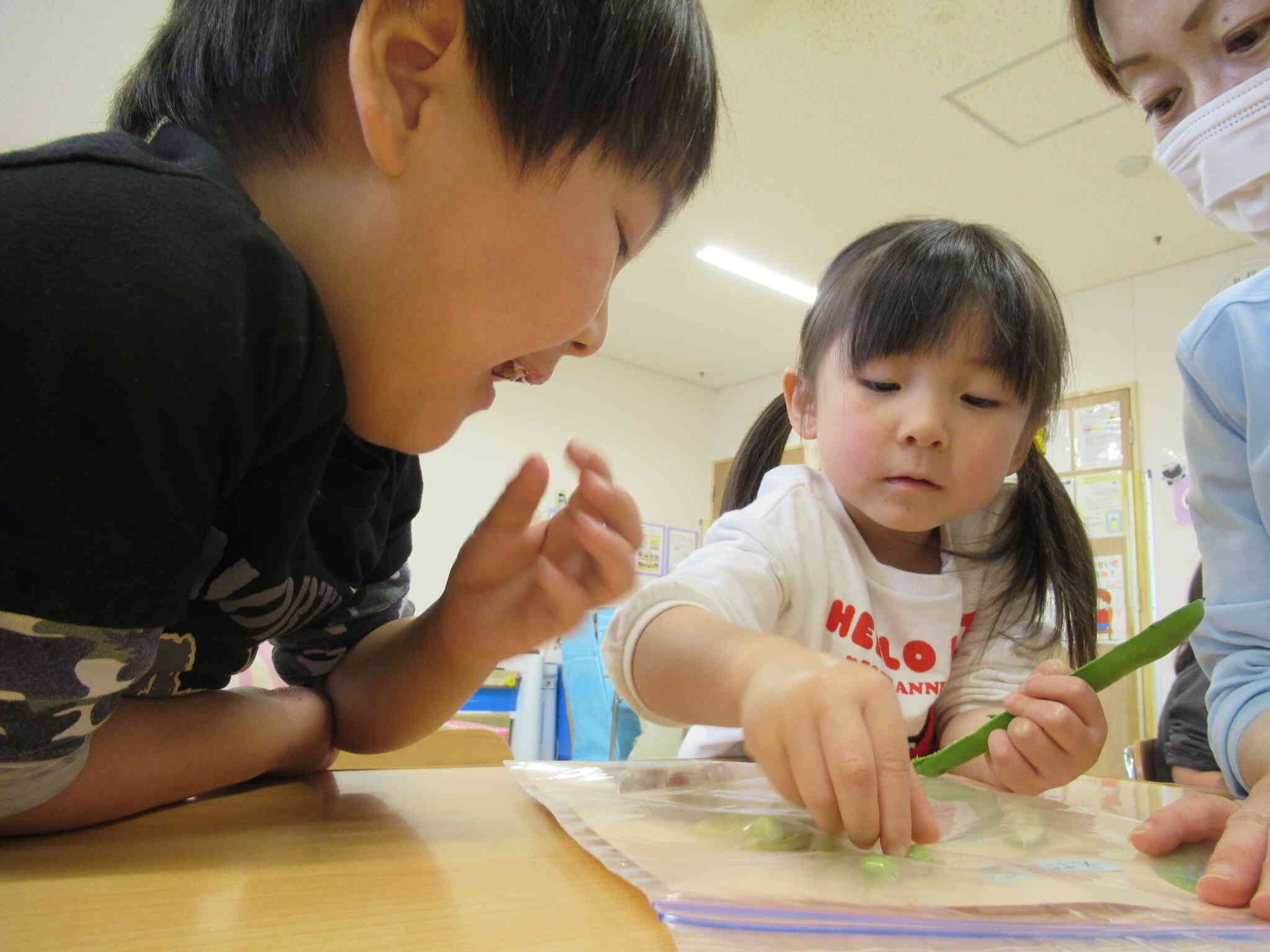 いろいろな種類の豆をひとつずつ触りながら、その色や形、手触りなどを感じていました。