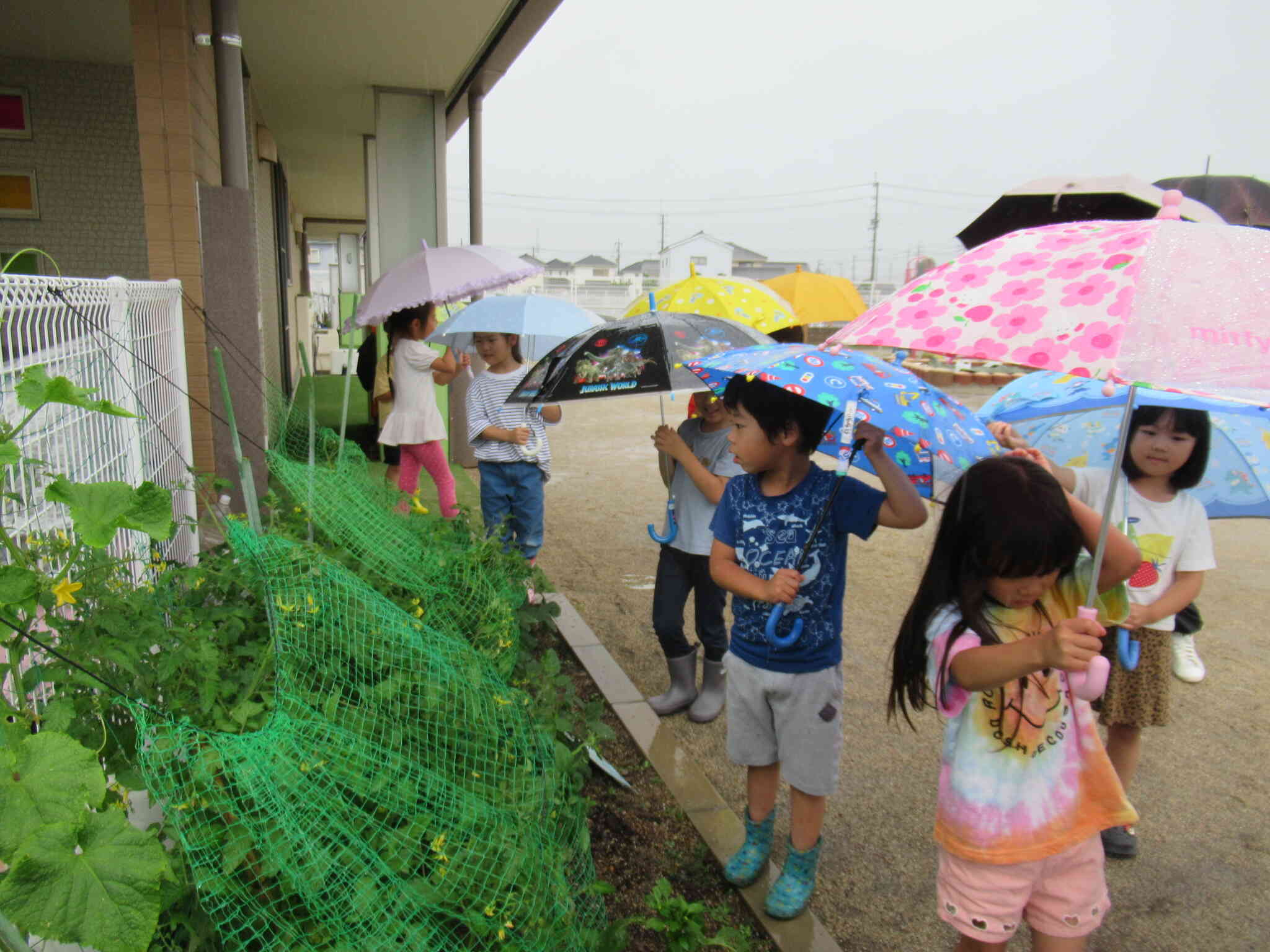 雨の日さんぽ♪きりん組