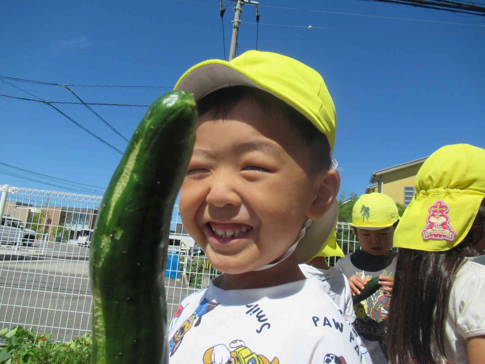 みんなで育てたキュウリ！収穫したよ！こ～～～～んなにデッカイの！おいしいかなぁ？早く食べてみたいな～。