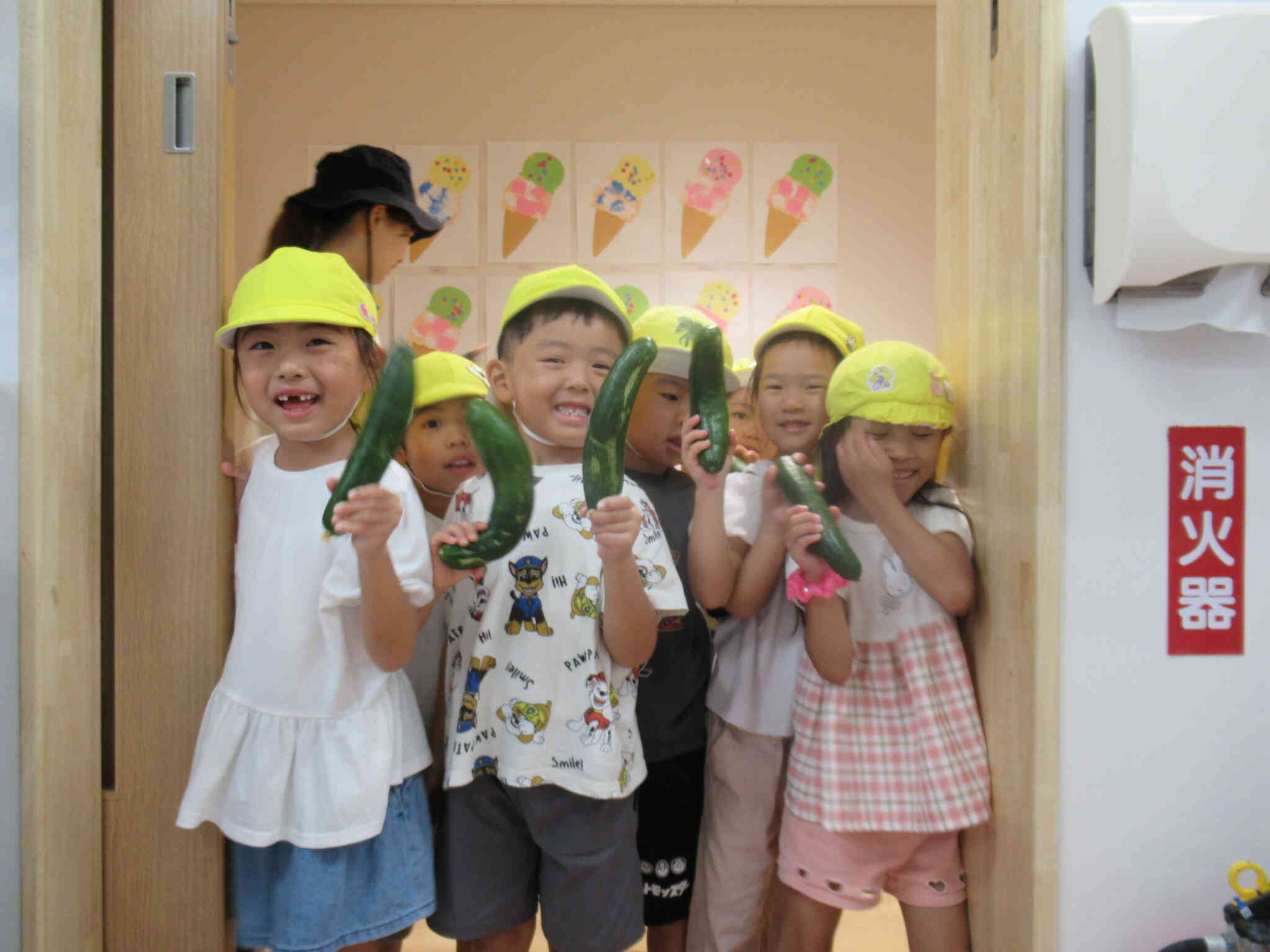 きりん組さんがきゅうりを収穫してくれました♪毎日お世話をしてくれてありがとう！！