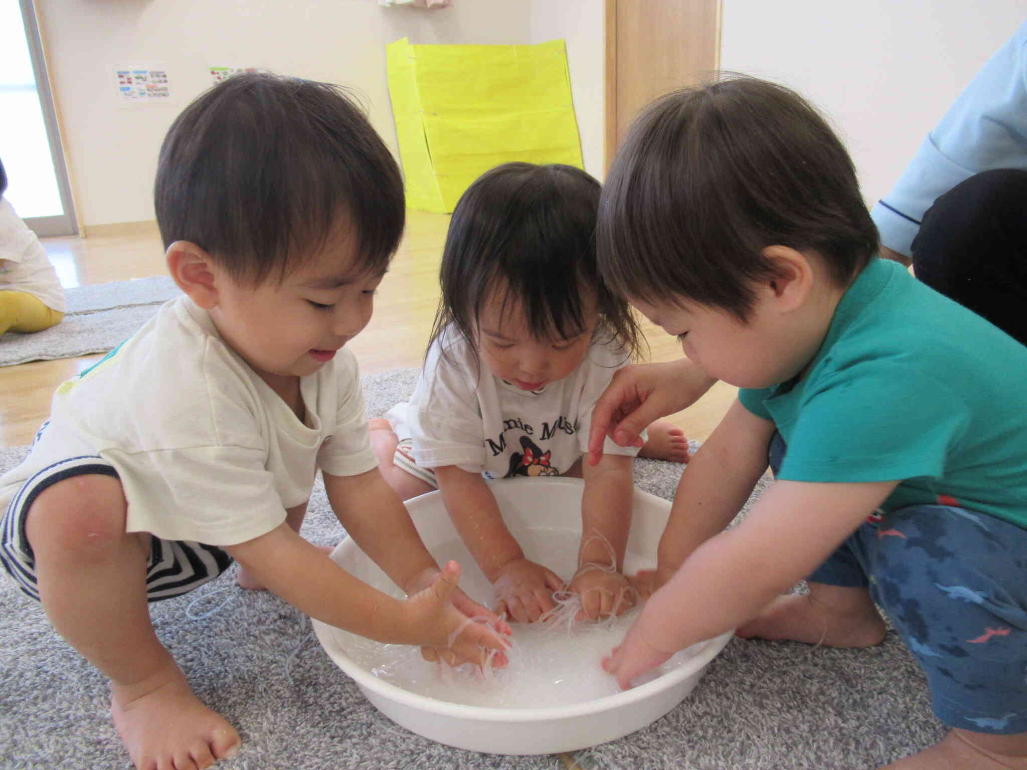 パキパキ折れるはるさめ、お水に浸したら、つるつる、ぐにゃぐにゃになったよ！触ってみたら、とっても冷たくて気持ちいい～～っ！