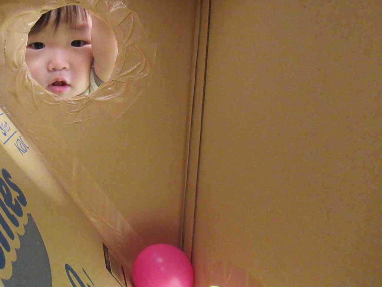 ボールをぽっとん！あれ？どこいったのかなぁ？覗いてみたよ～。ボールさん～どこかな？