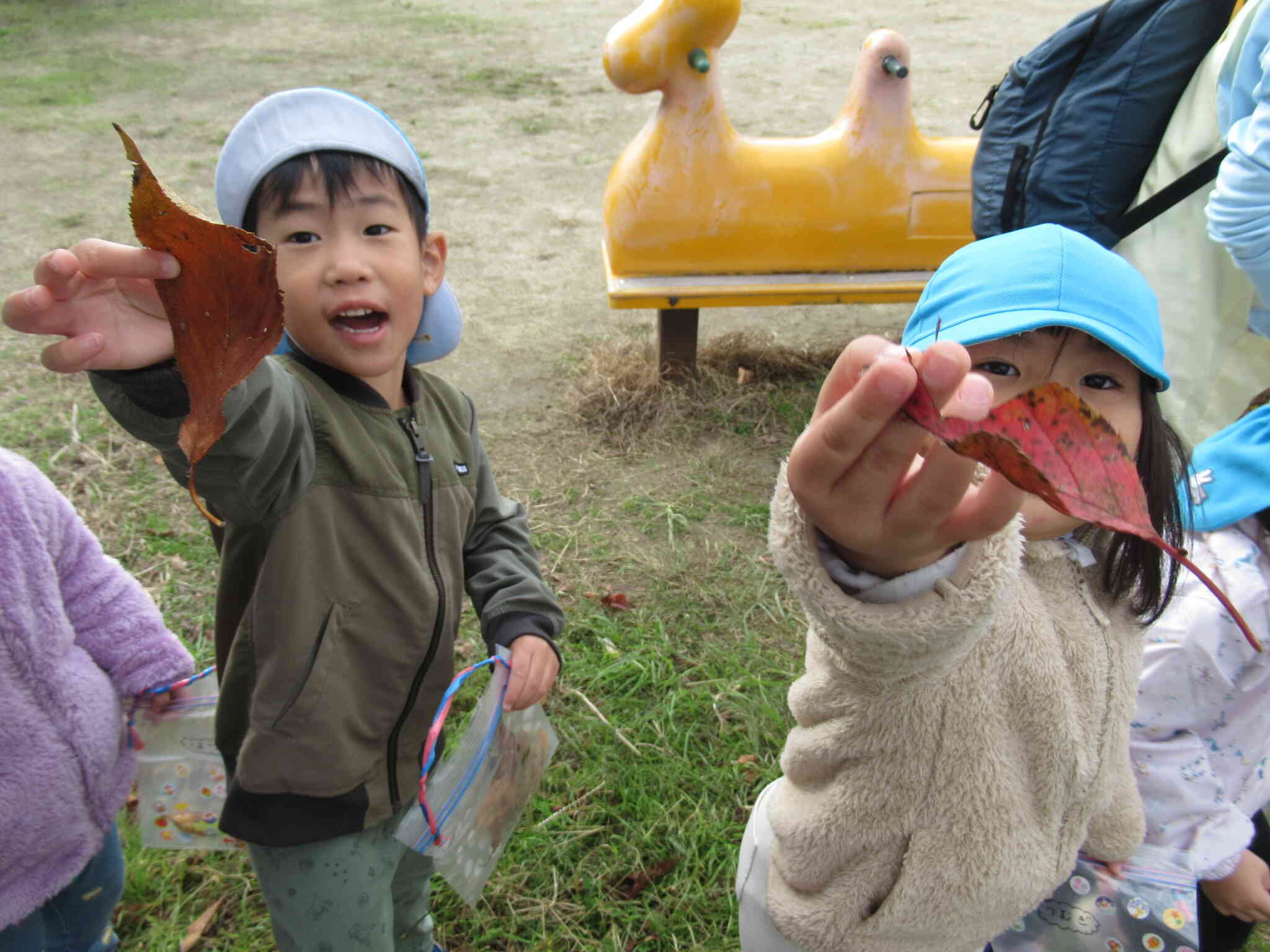 おさんぽだ～～～いすきっ！こんなきれいな葉っぱをみつけたよ！きれ～～いっ！