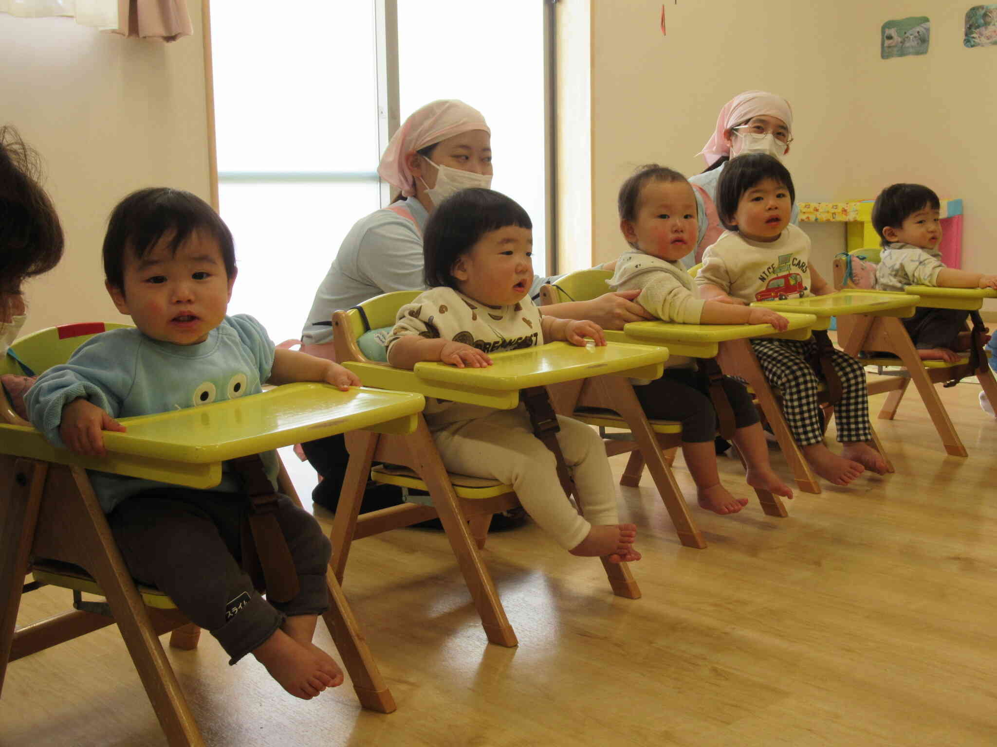 キャベツに触れたよ！～ひよこ組さん～