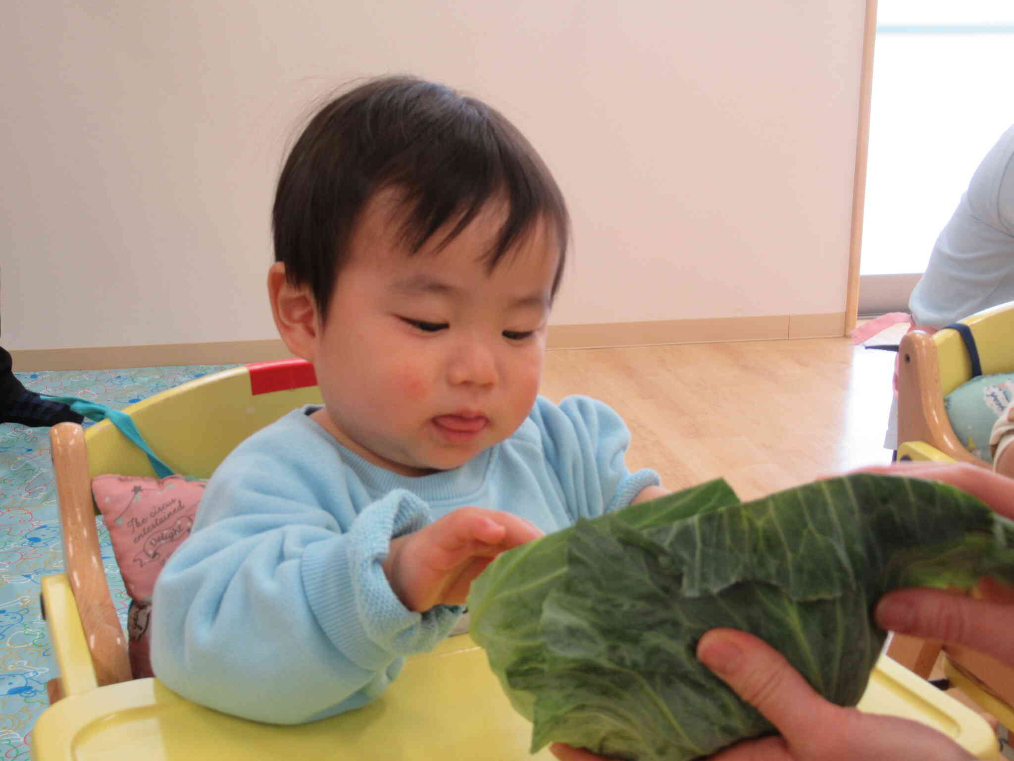 これはなあに？？